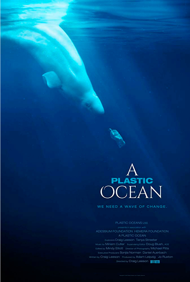 Underwater view of a large whale near the surface with a plastic bottle floating below it. The image is used to convey an environmental message about ocean pollution.