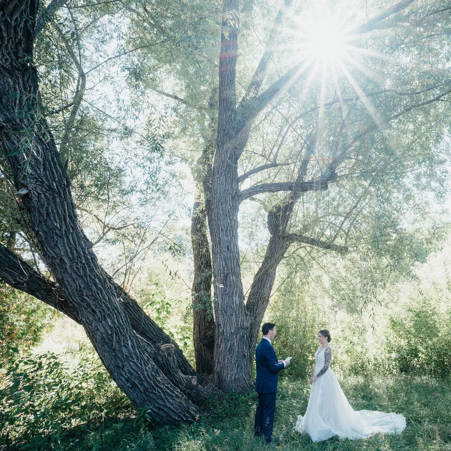 some couples want a ballroom - ours want a passport, a willow tree, and vows no one else gets to hear