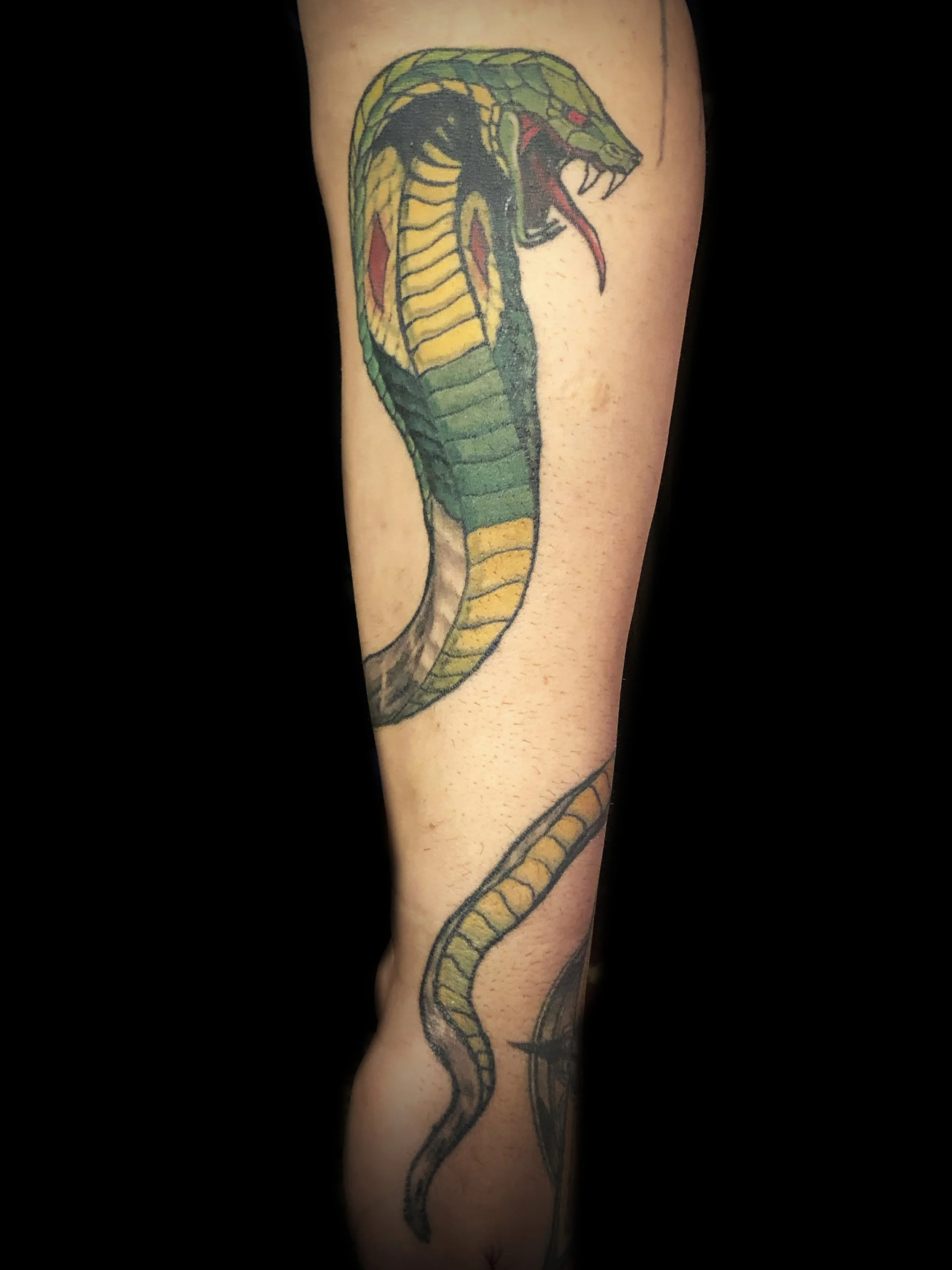 Colorful tattoo of a coiled snake with its head raised and mouth open, showing fangs and hood, on a person's leg.