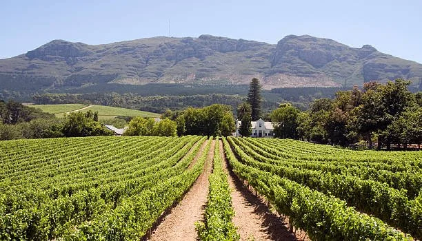 Paarl, South Africa