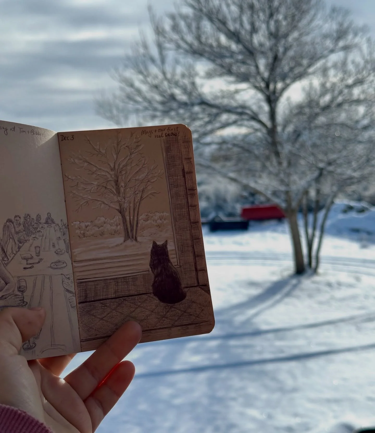 Snow!!! The first of the season here. Mags likes it too, but I think she&rsquo;s content observing it through the glass and from the comfort of her cozy bed. 🐈&zwj;⬛ 😌

&bull;
#sketchbookartist #pleinairsketching #travelsketchbook #sketchjournal