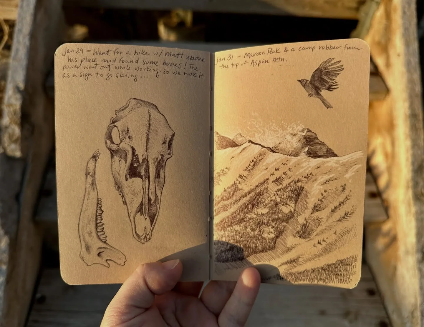 January recap - Some good things lately, inside the sketchbook and out. ☺️ (namely mountains, sunsets, art making, skiing, bones haha)

#travelsketchbook #sketchjournal #artjournal