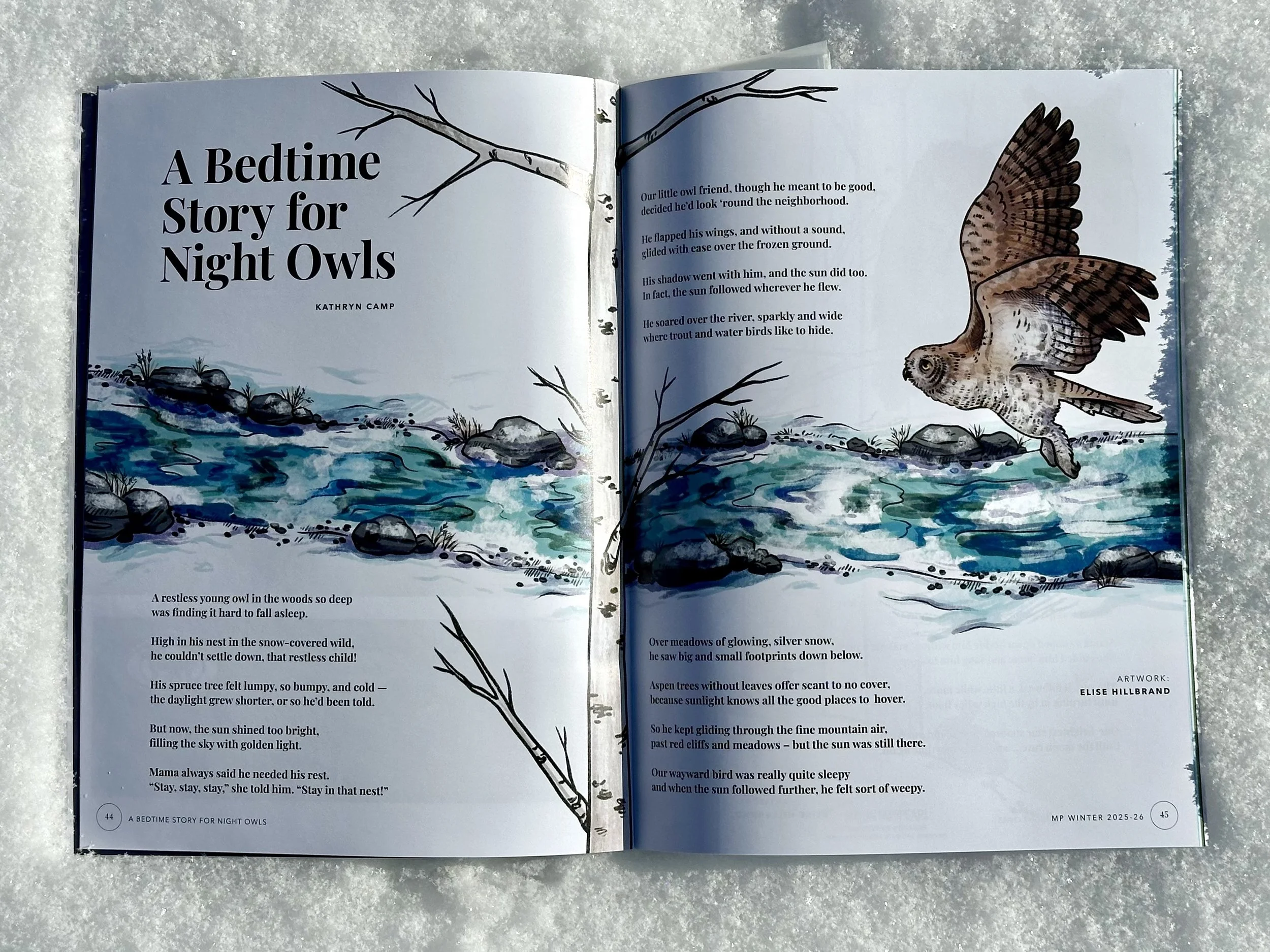 Winter Owl Story 1.jpg