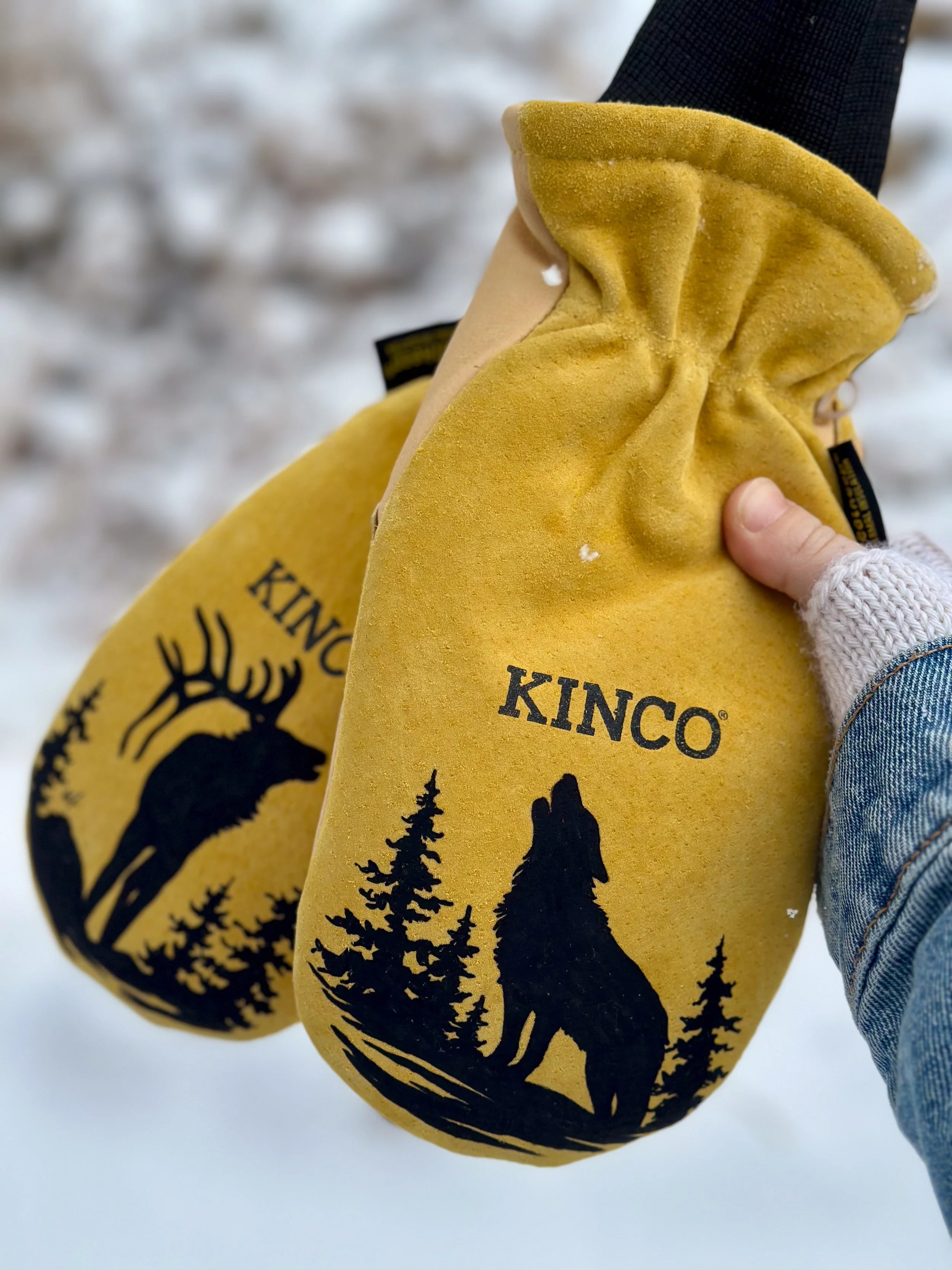 wolf+elk Kincos detail.jpg