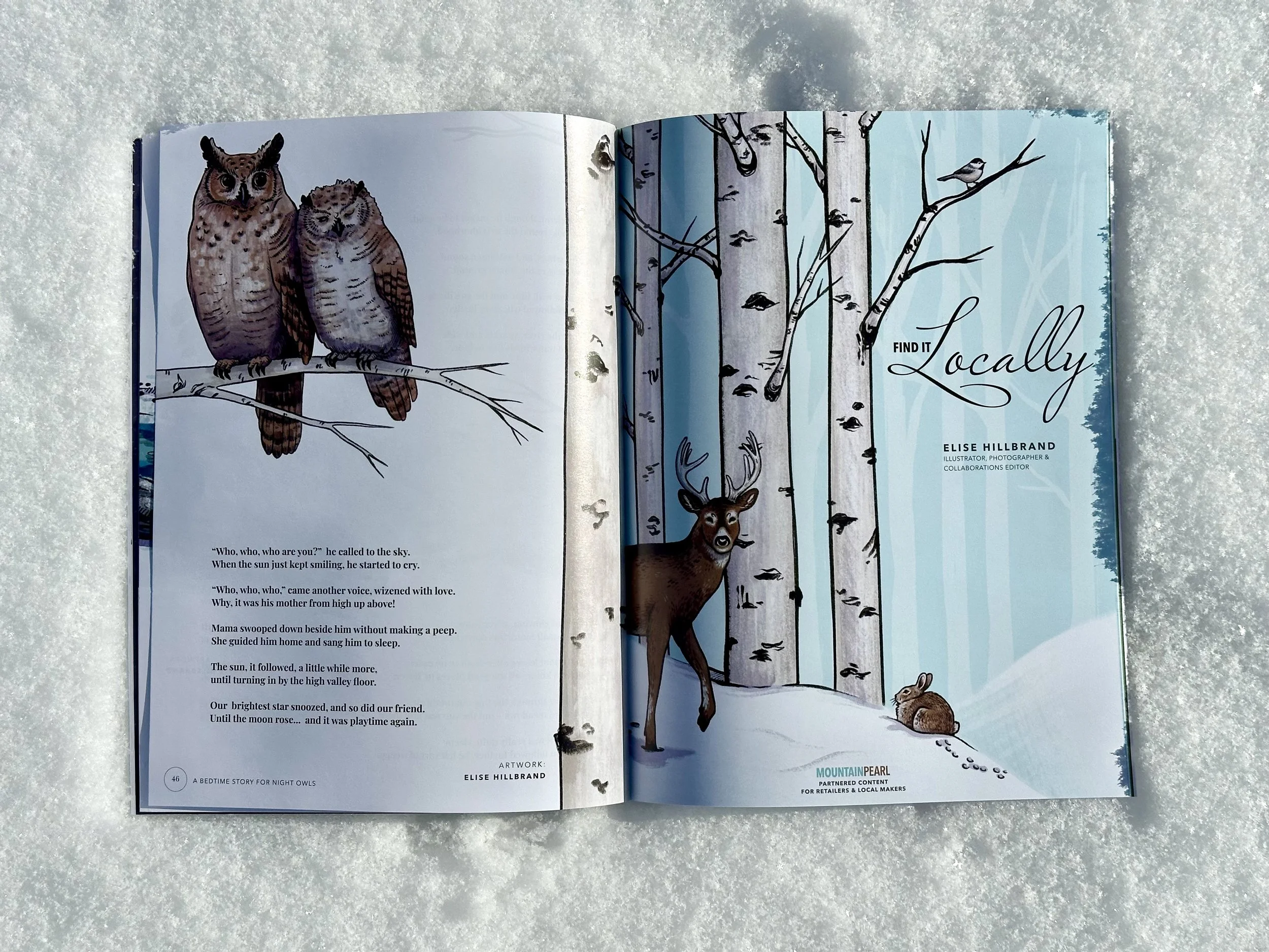 Winter owl story 2.jpg