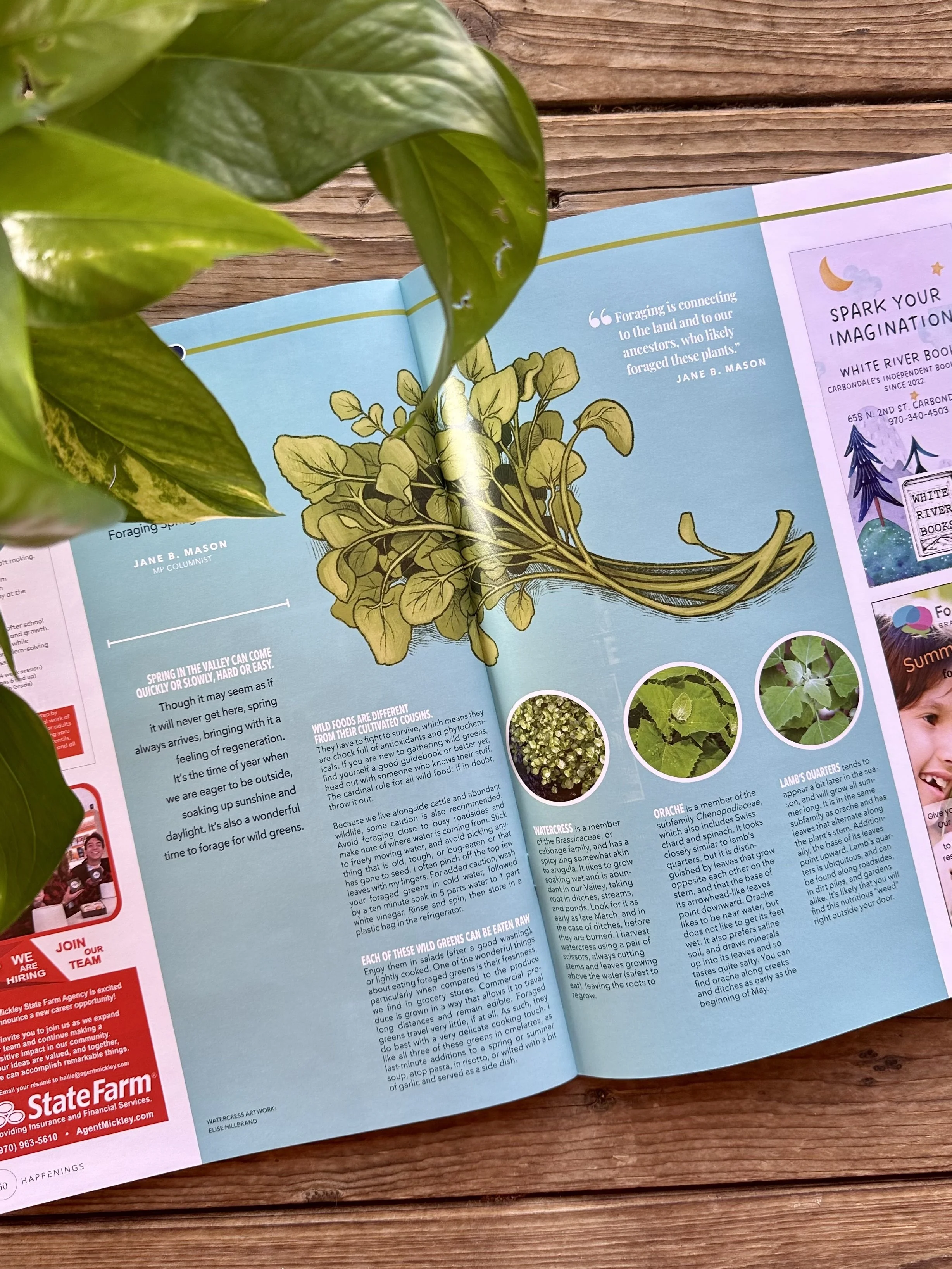 Spring Cover Inside.jpg