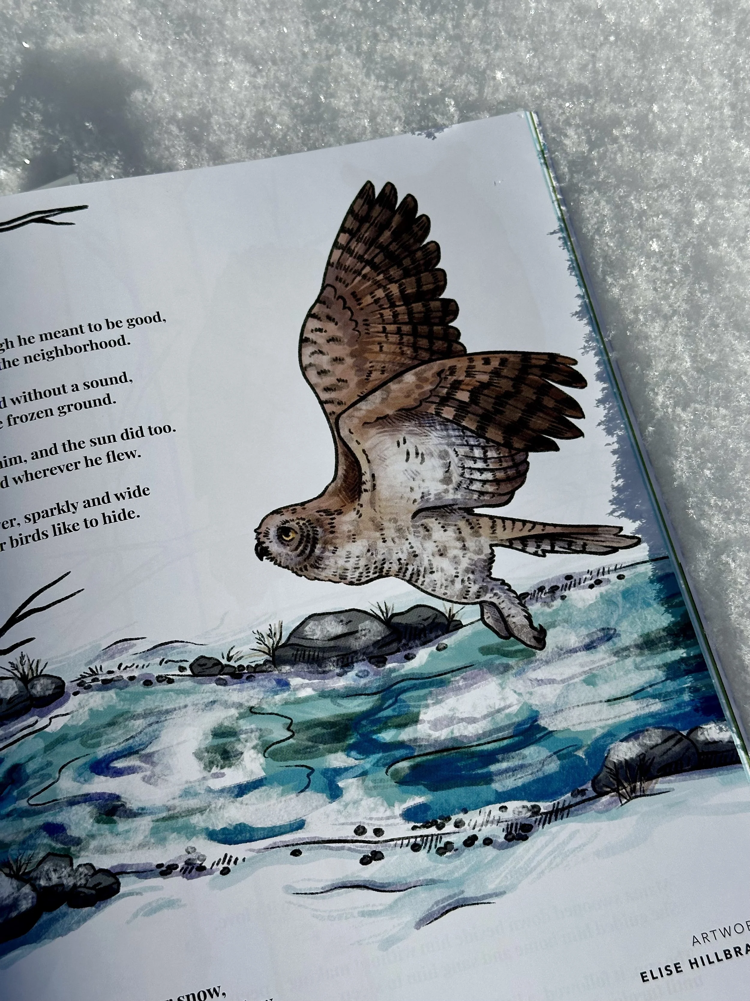 Winter Owl detail.jpg