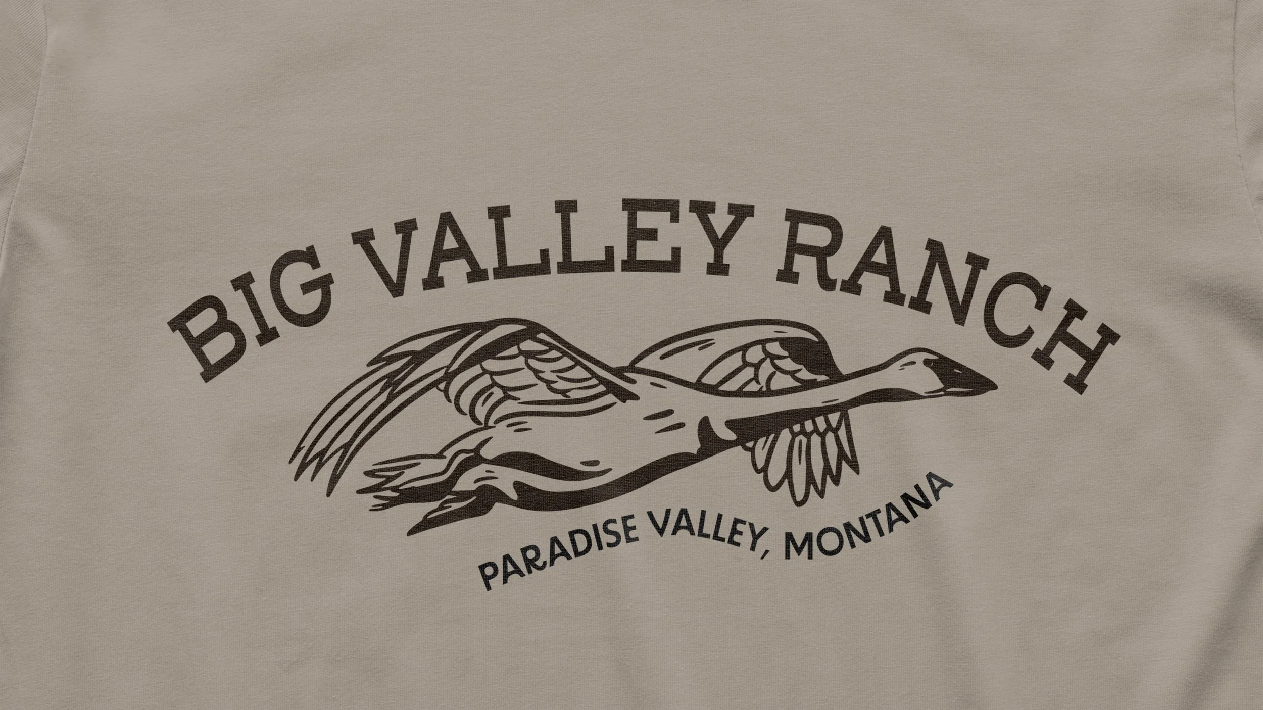 Shirt Cover (1) 1.jpg