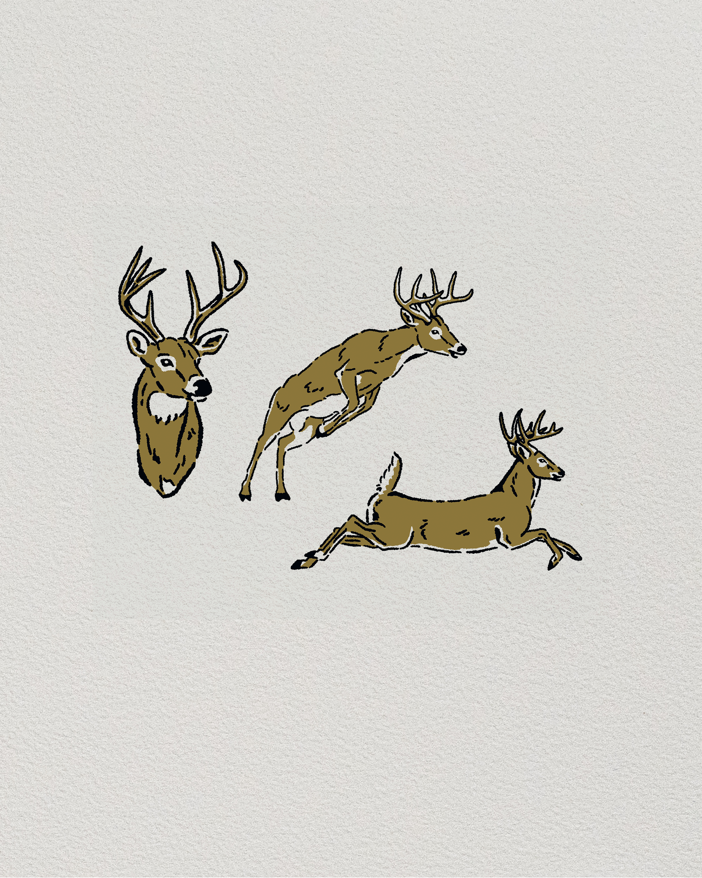 Deer.png