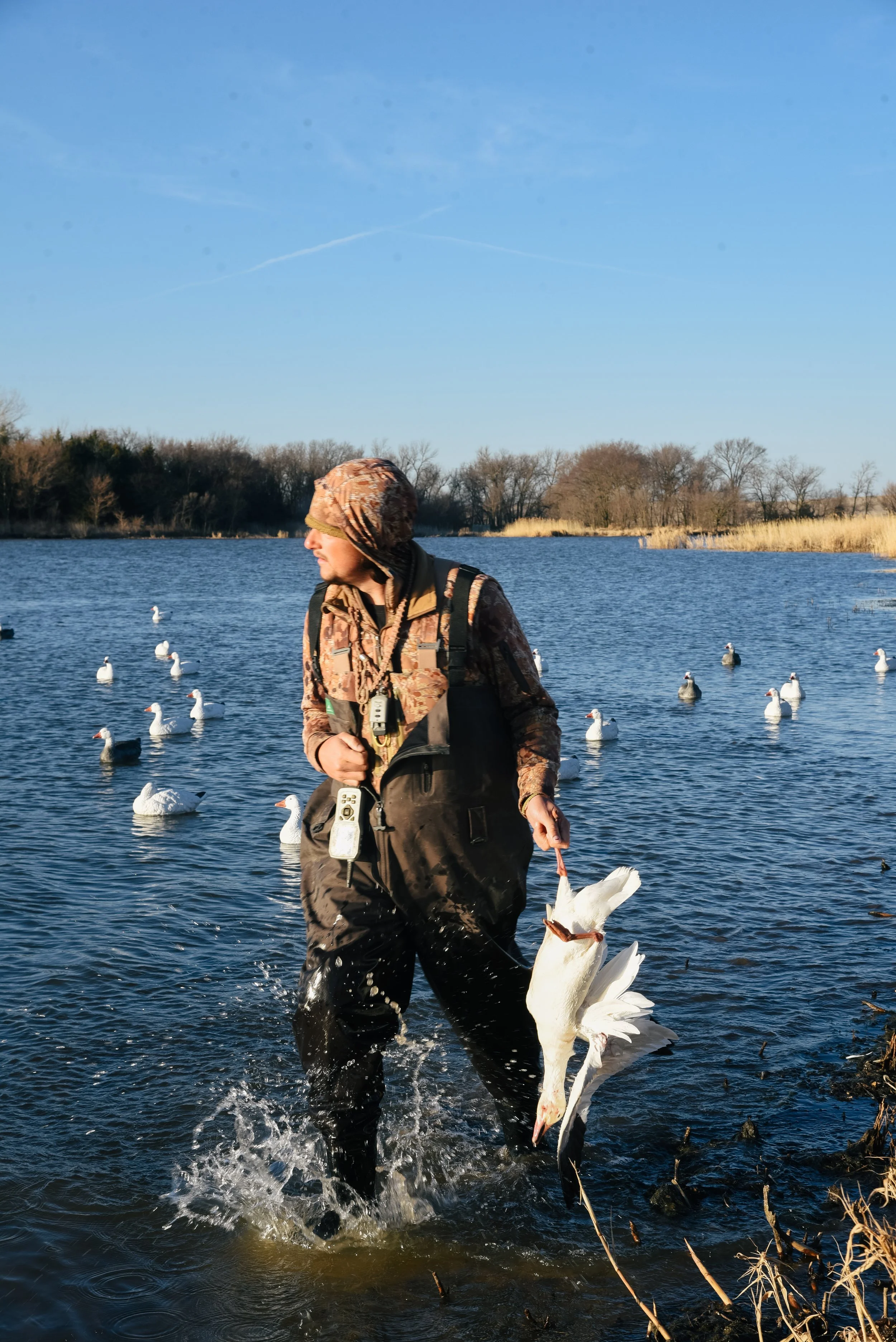 platte-basin-outdoors-hailey-cade-snow-goose-march-26-23.jpg