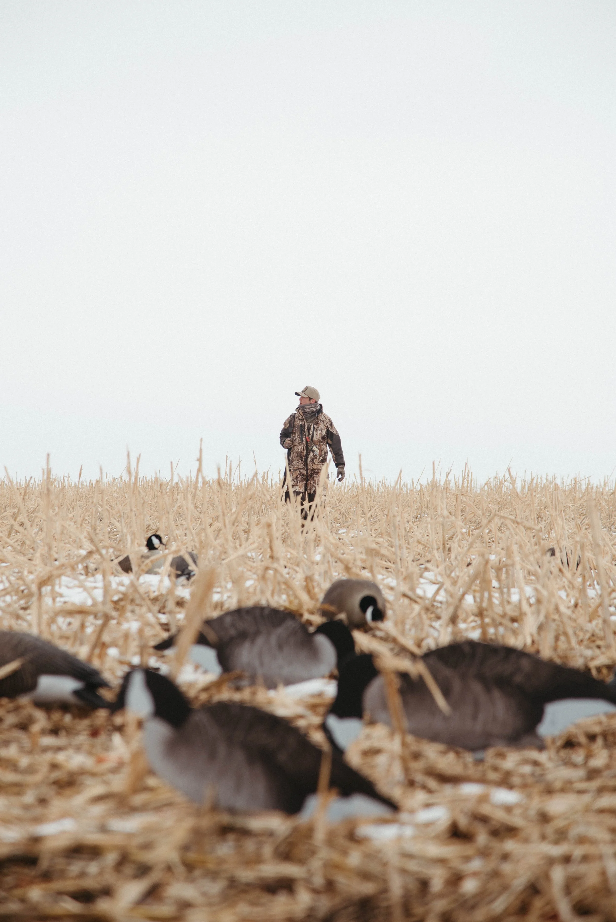 Goose_Hunt_01_12_25-12.jpg