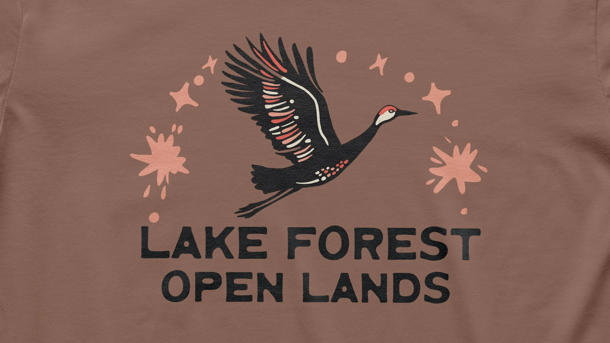Shirt Cover (2) LFOL.jpg