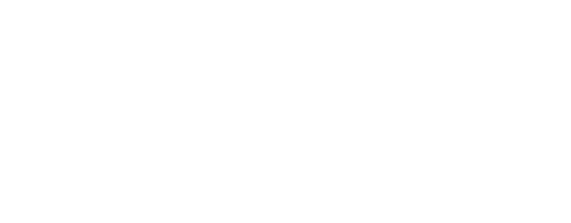Black background with white text that reads 'WILDPORSE MOTION FILMS'