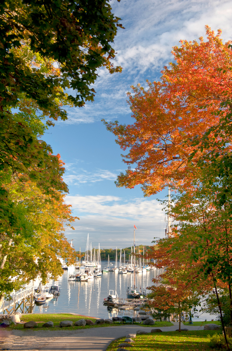 A peaceful marina scene with sailboats docked on calm water, framed by colorful autumn trees and a partly cloudy sky.