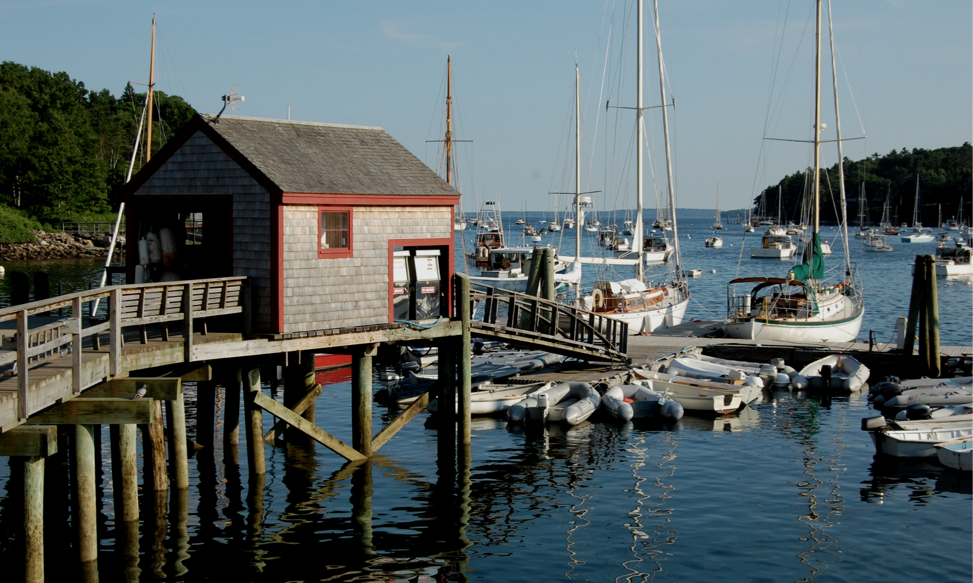 View of a marina with sailboats docked near a wooden pier and small building, surrounded by water and green trees in the background.