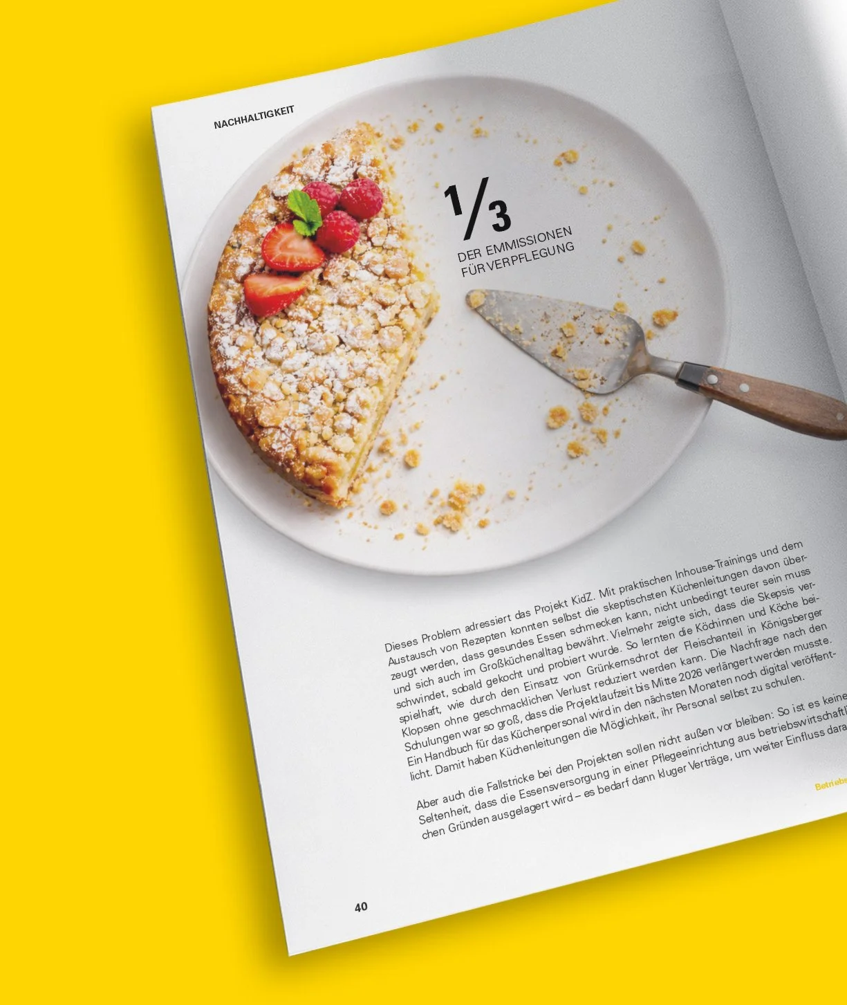 Folded_Magazine_Free_Mockup_mockupboard Kopie.jpg
