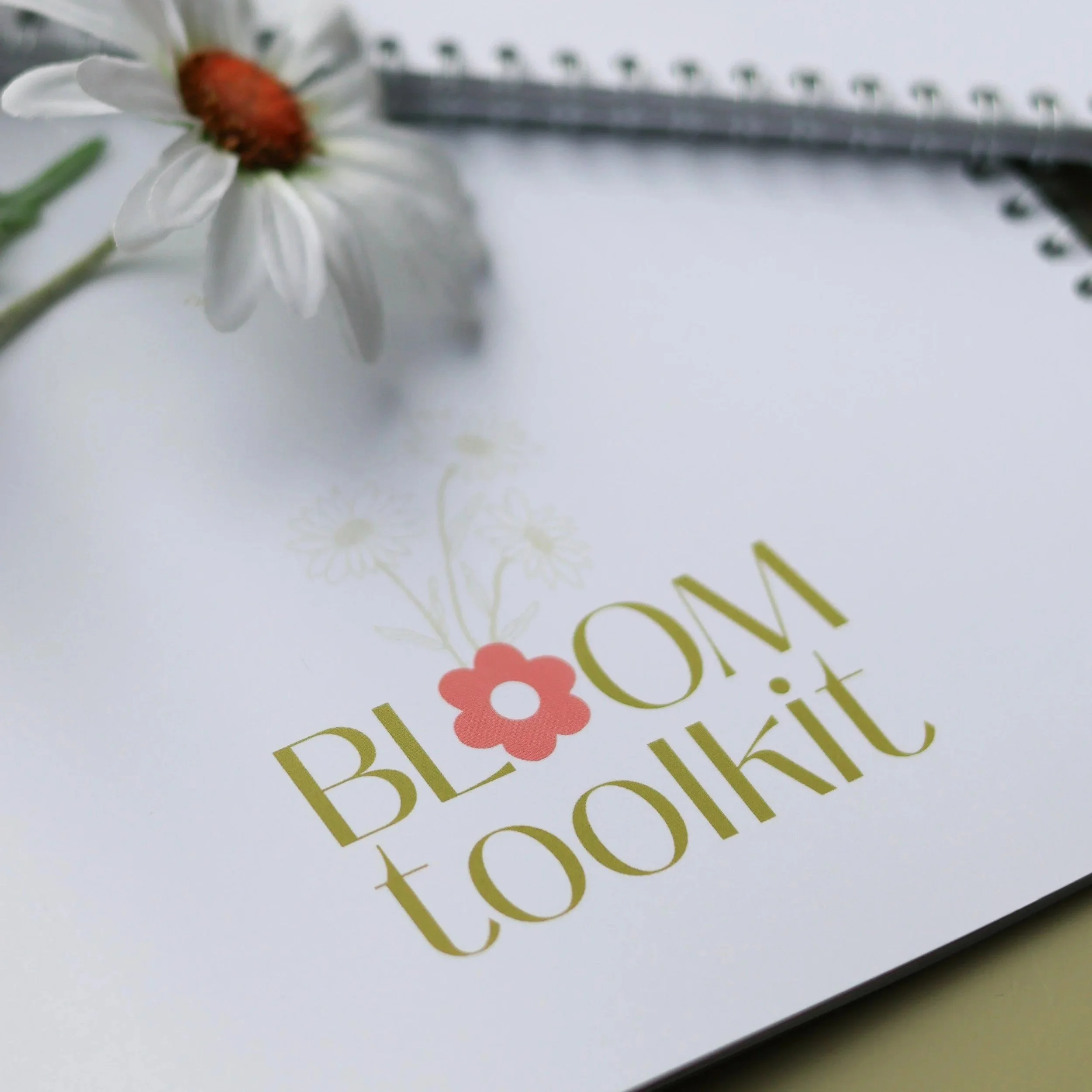 BLOOM Toolkit  (Ebook)
