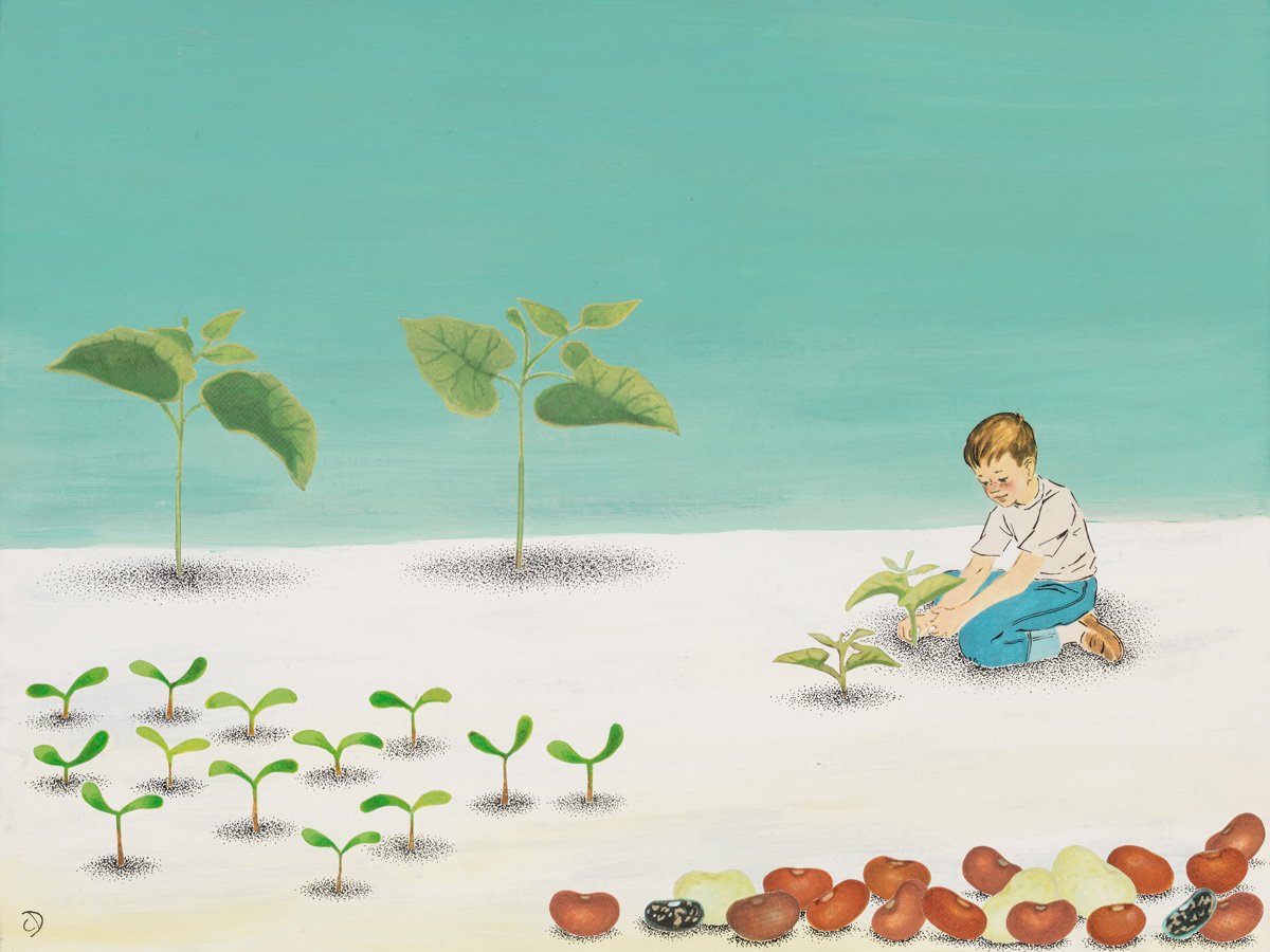 The Silence of Growing Things - 9x12.jpg