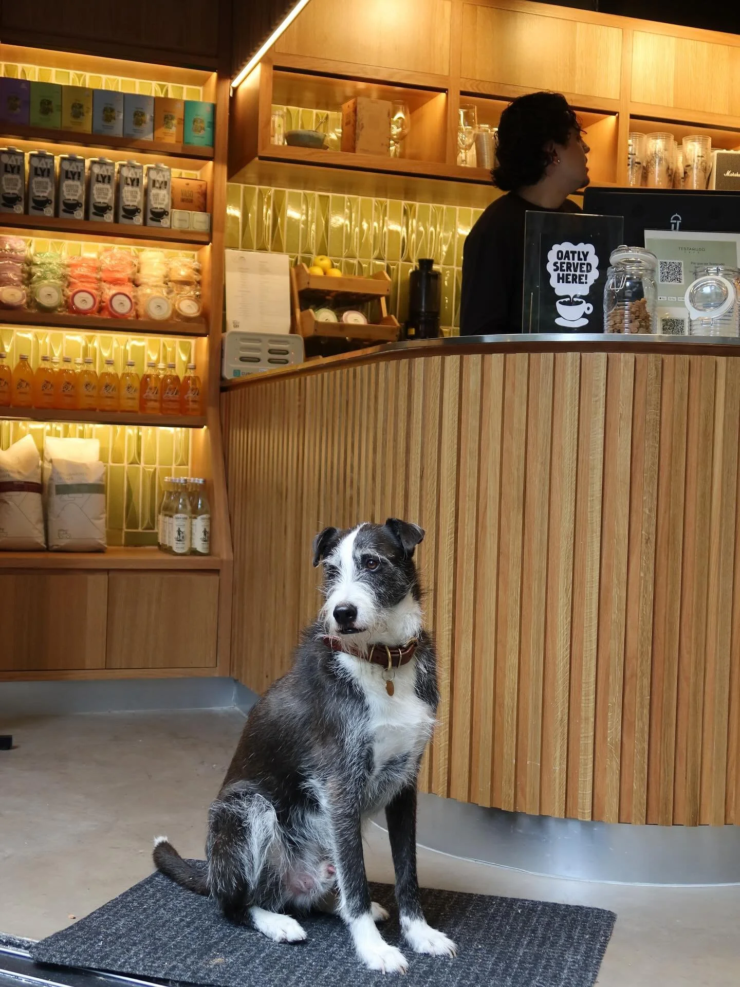 Los mejores clientes vienen con cuatro patitas 🐾☕️ #PetFriendly #TestarudoCafe