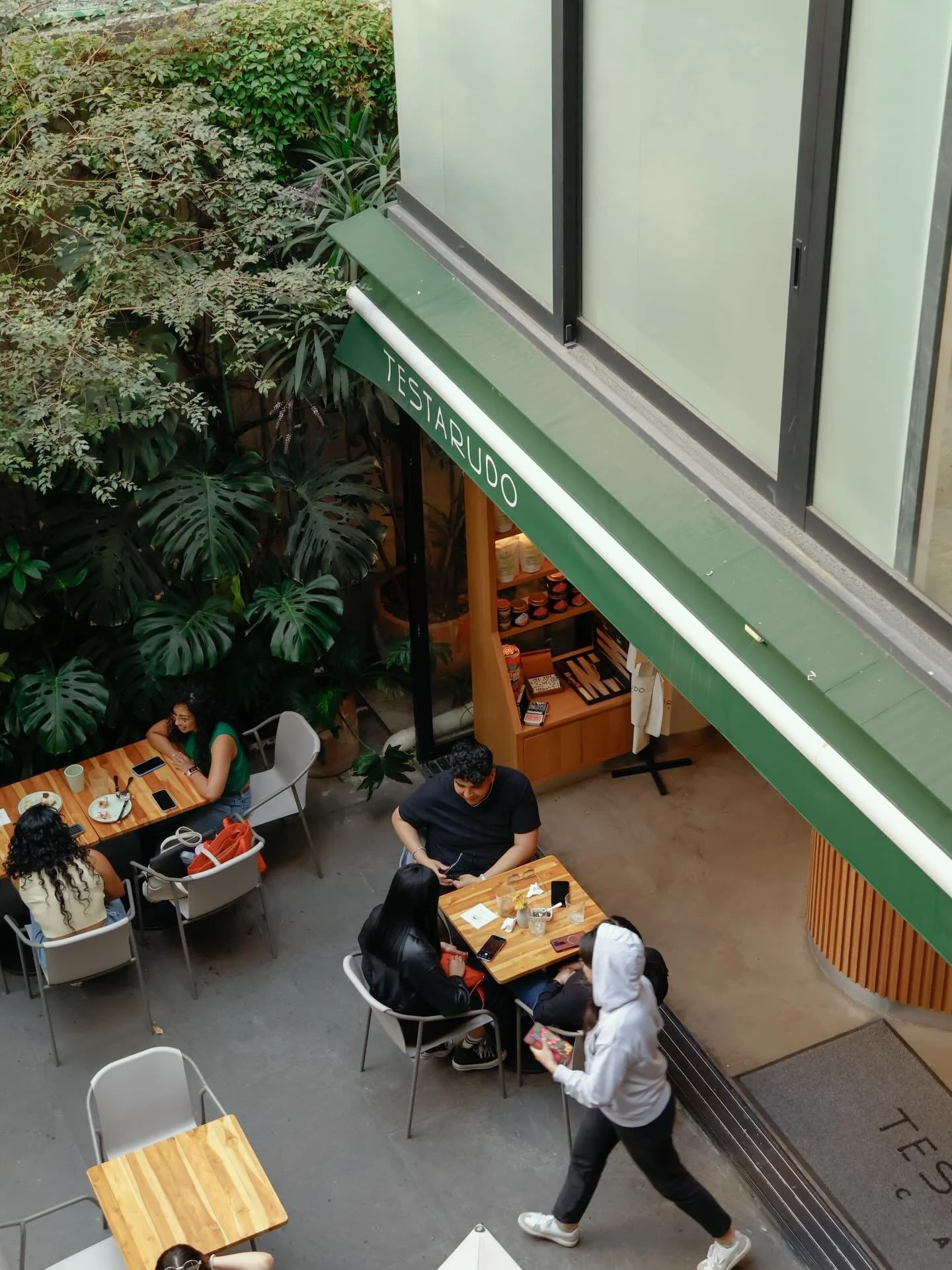 Entre plantas, caf&eacute; y conversaciones que se alargan ☕️🌱

📸 @ivansanchez04