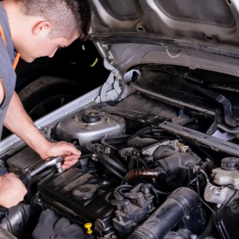 team-card