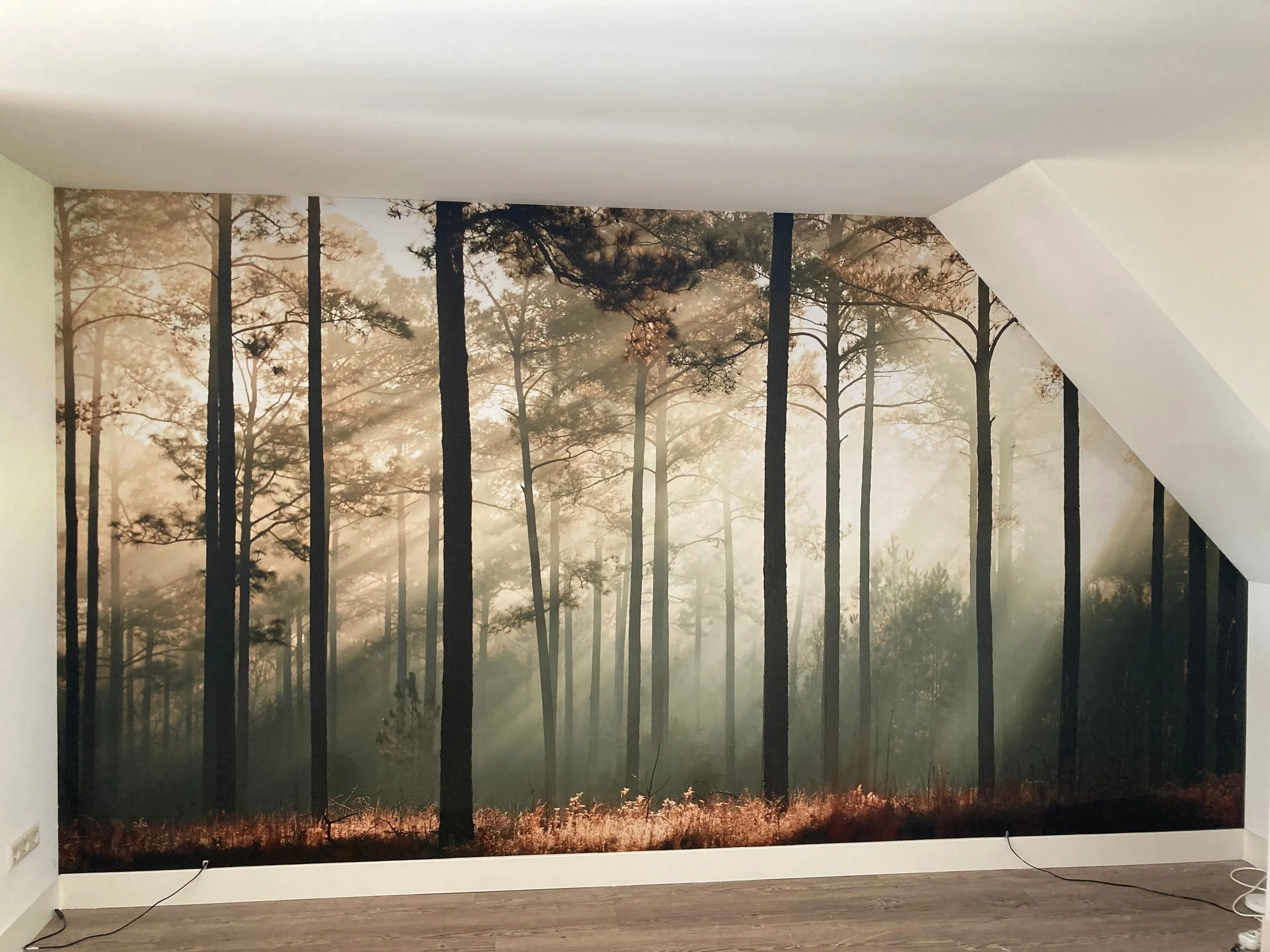 Panoramic forest wall mural wallpaper with tall trees and warm autumn light installed in residential interior – Pop Papel nature seamless wallcovering completed project