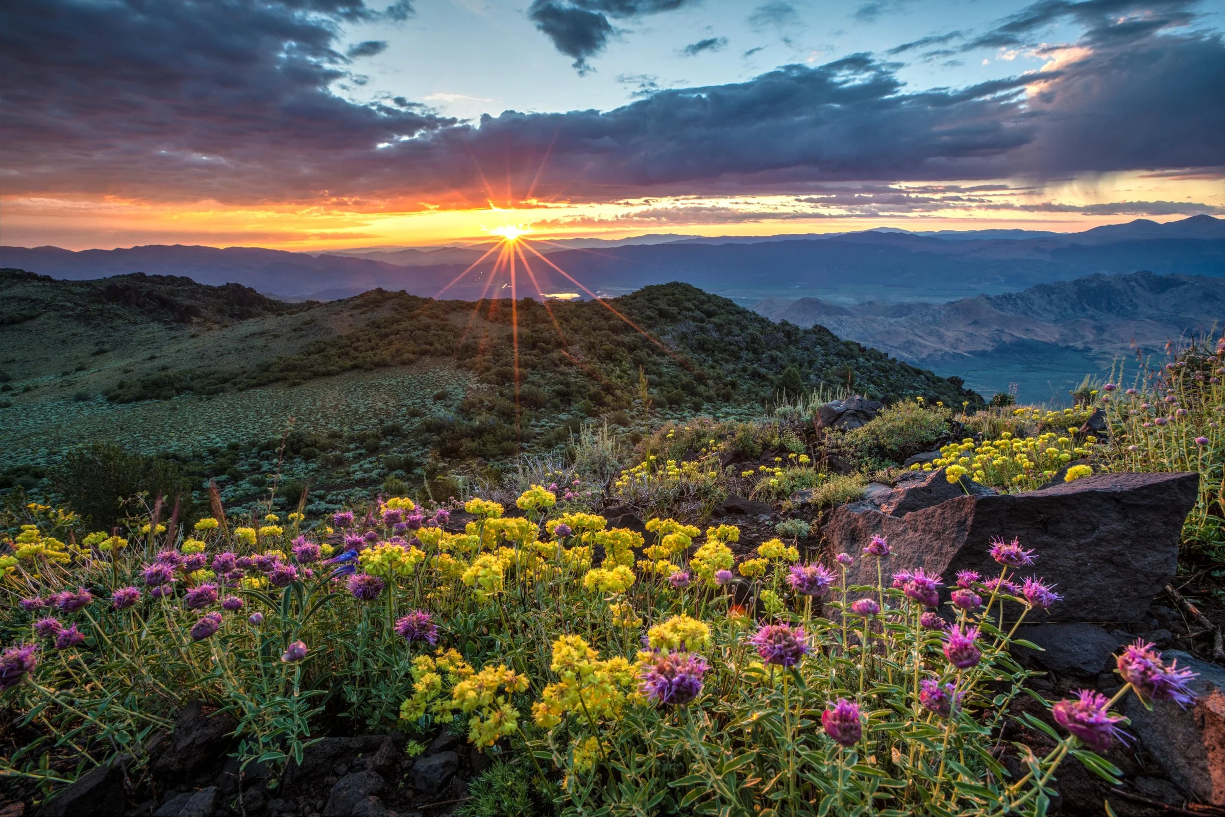 Sunset over rolling hills and mountains with colorful wildflowers in foreground.