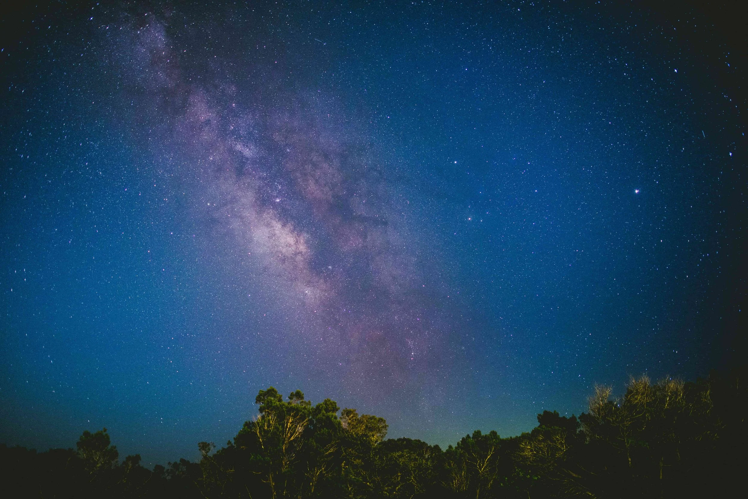 Night sky filled with stars and the Milky Way galaxy over a silhouette of trees.