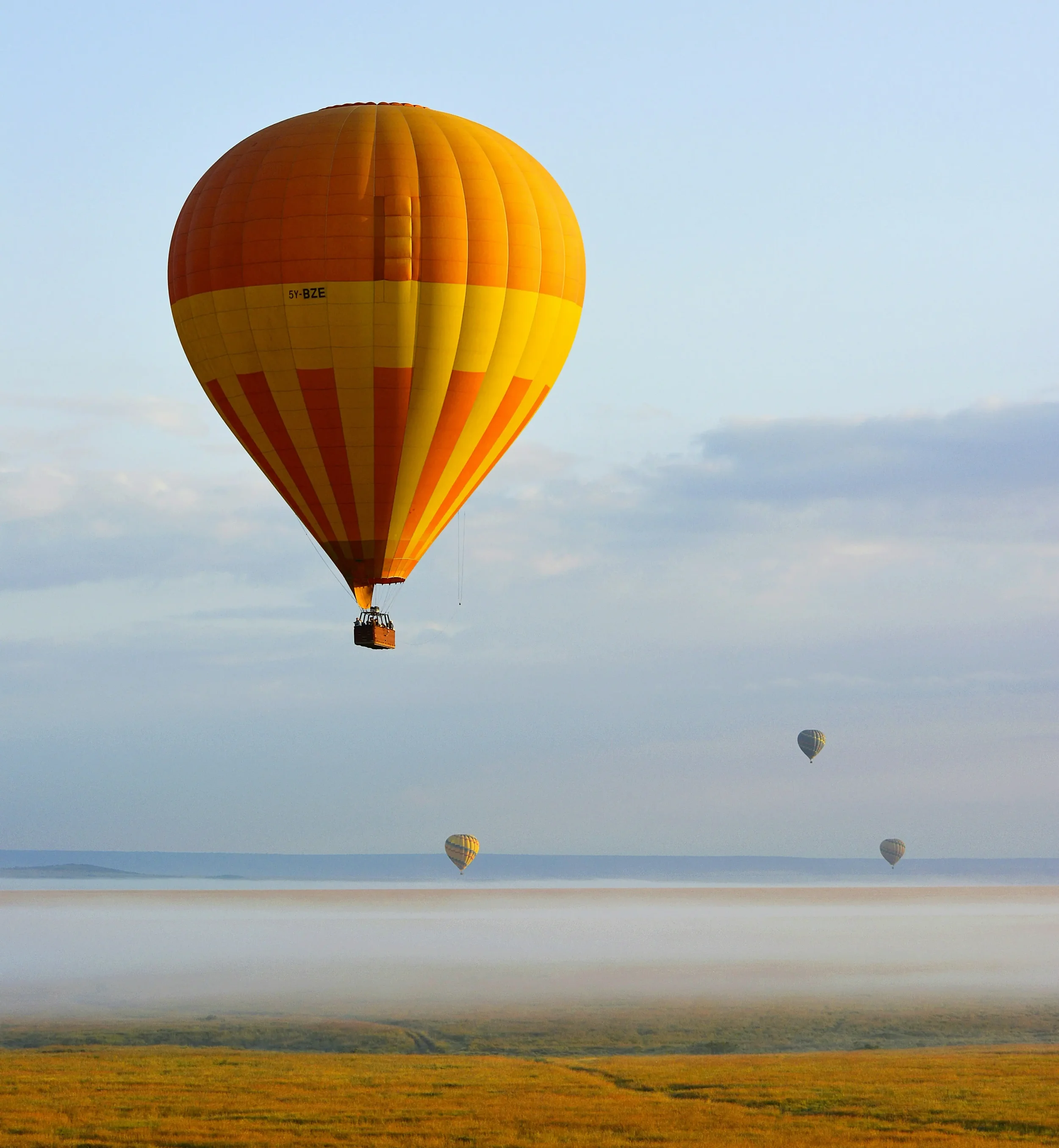 Multiple hot air balloons floating above a grassy plain with a fog layer and a blue sky background.