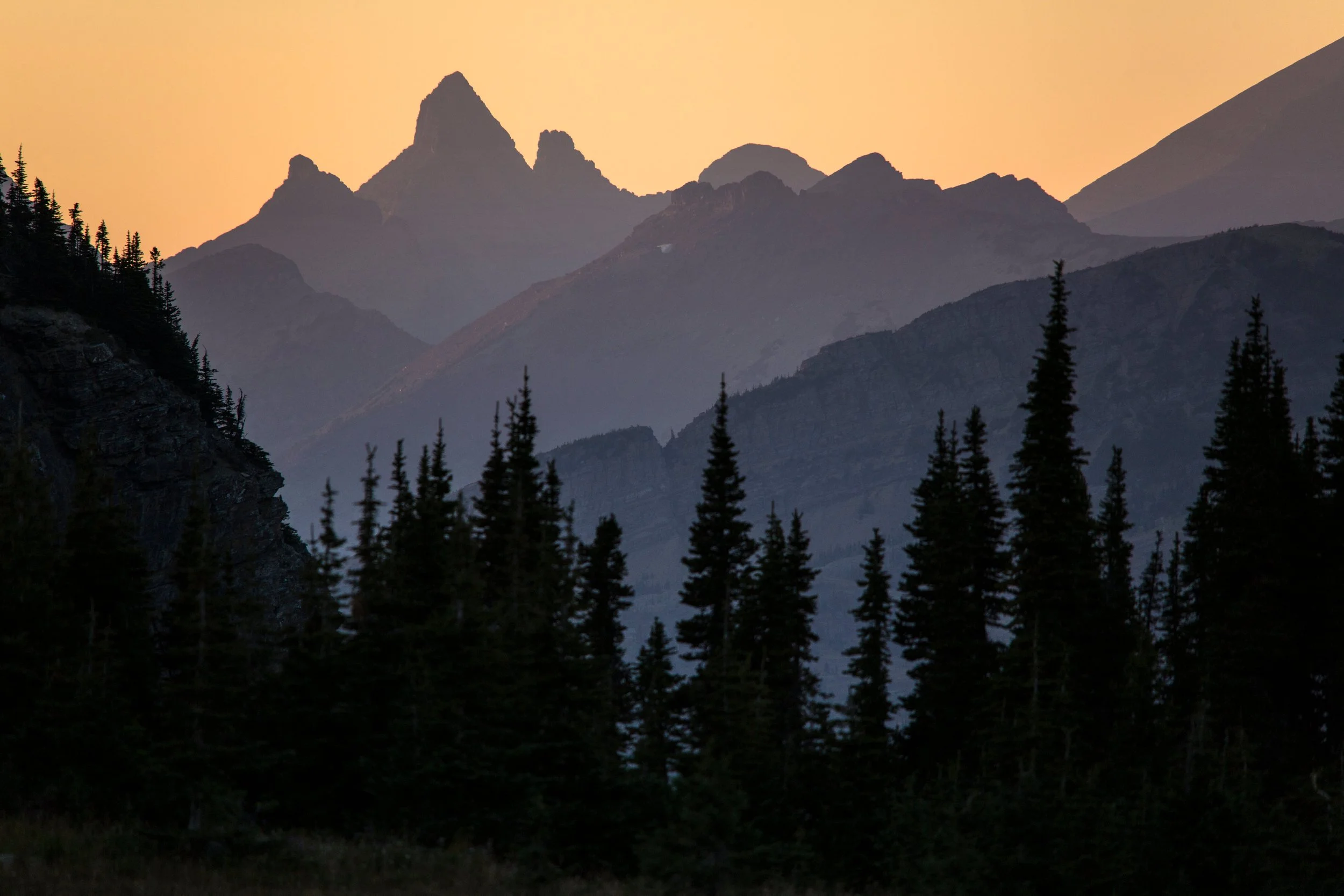 Sunset over mountain range with silhouetted pine trees in foreground.