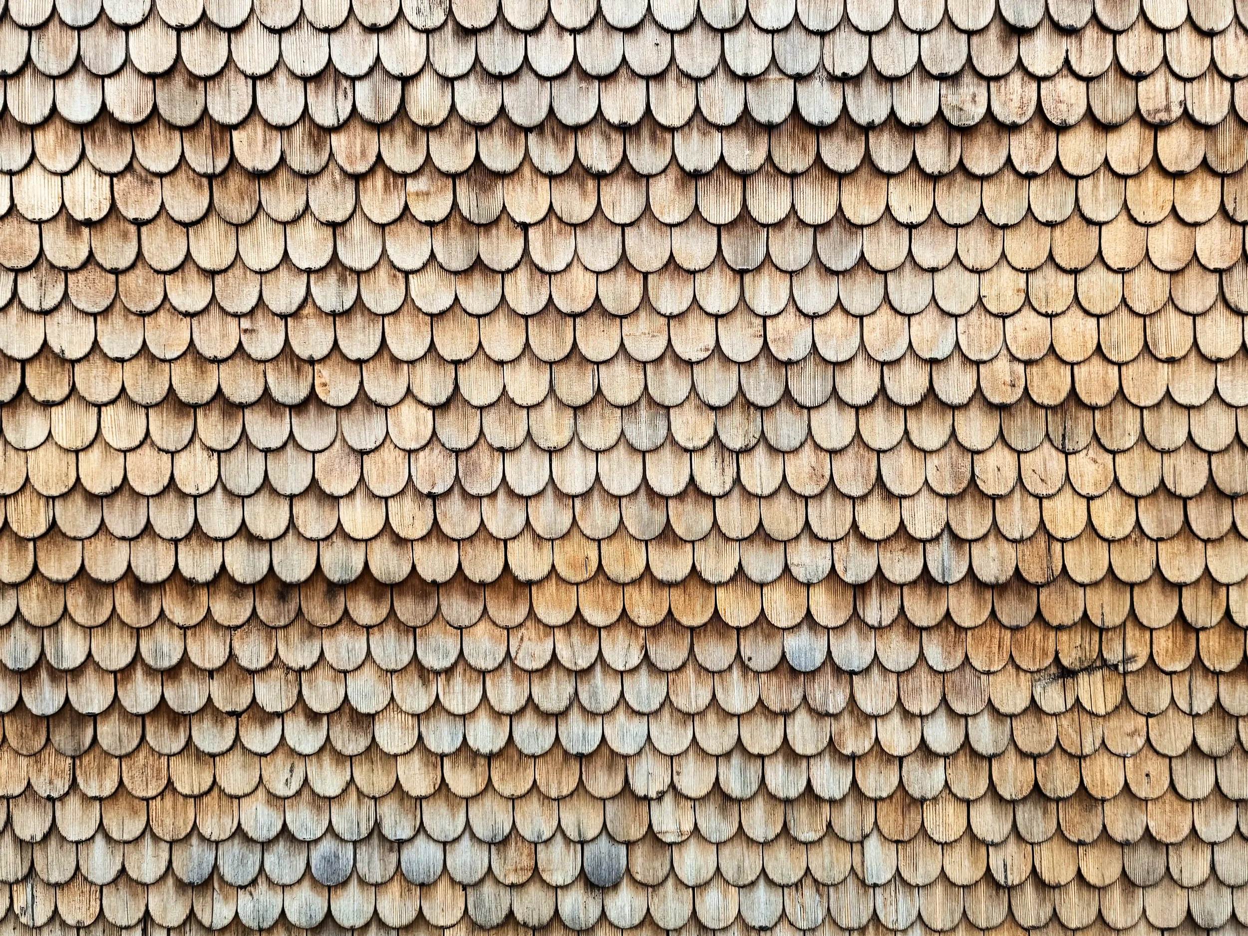 Close-up of overlapping wooden shingles on a roof, showing a pattern of semi-circular shapes.