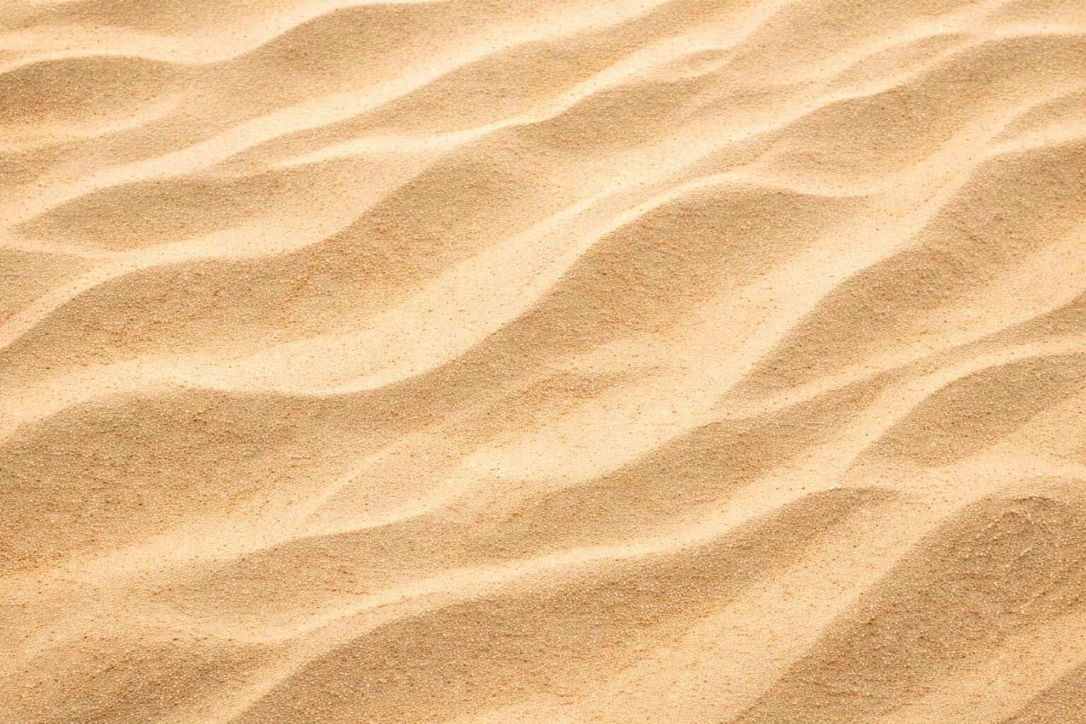 Close-up view of rippled sand dunes in a desert.