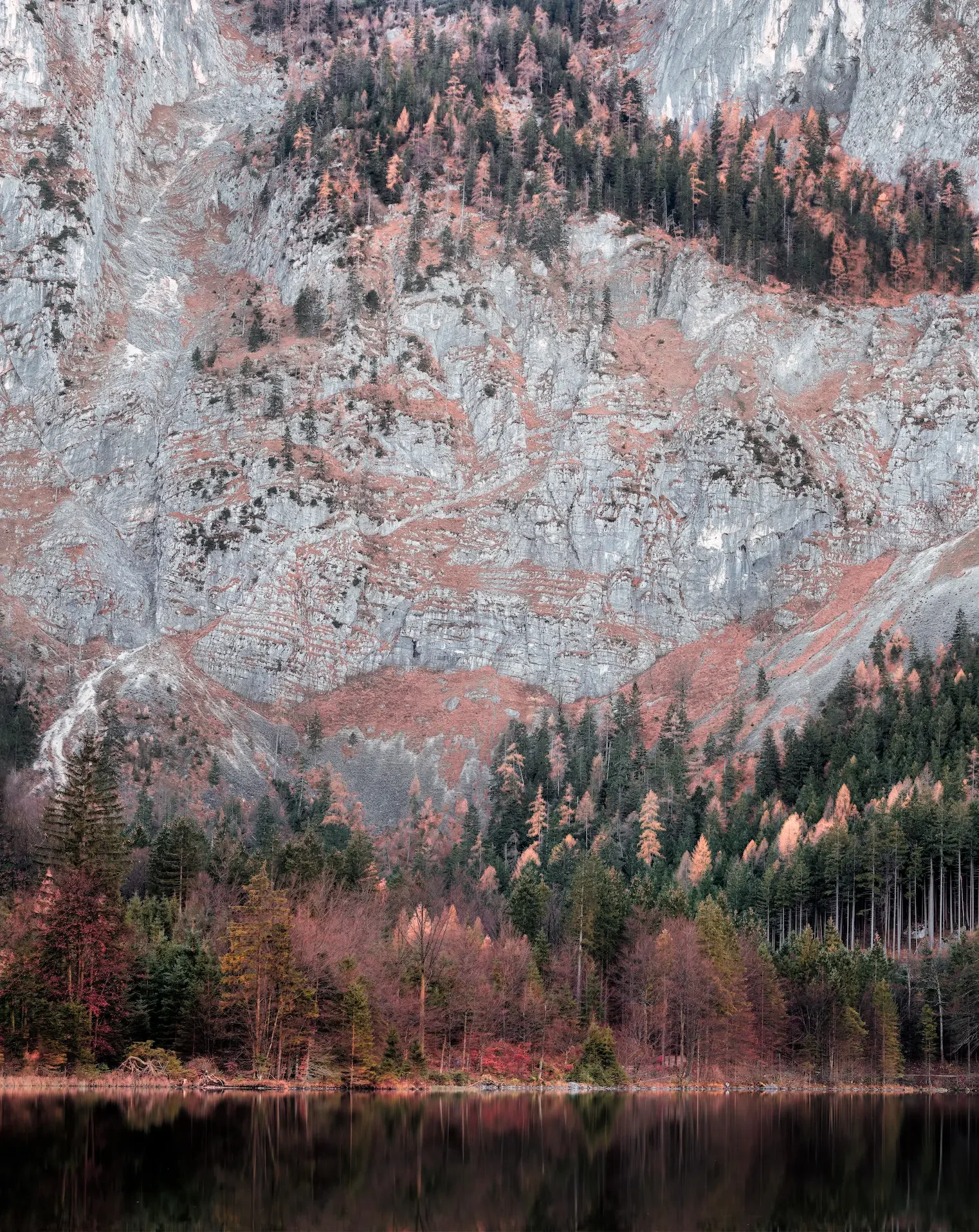 A mountain landscape with rocky cliffs, scattered trees, and a dense forest at the base reflected in a calm lake.