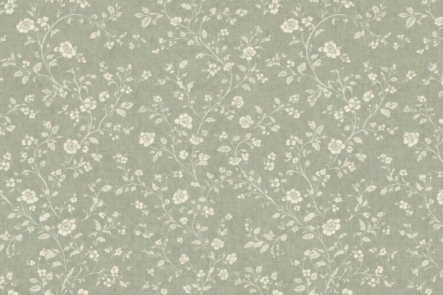 A pattern of white floral vines on a light green background