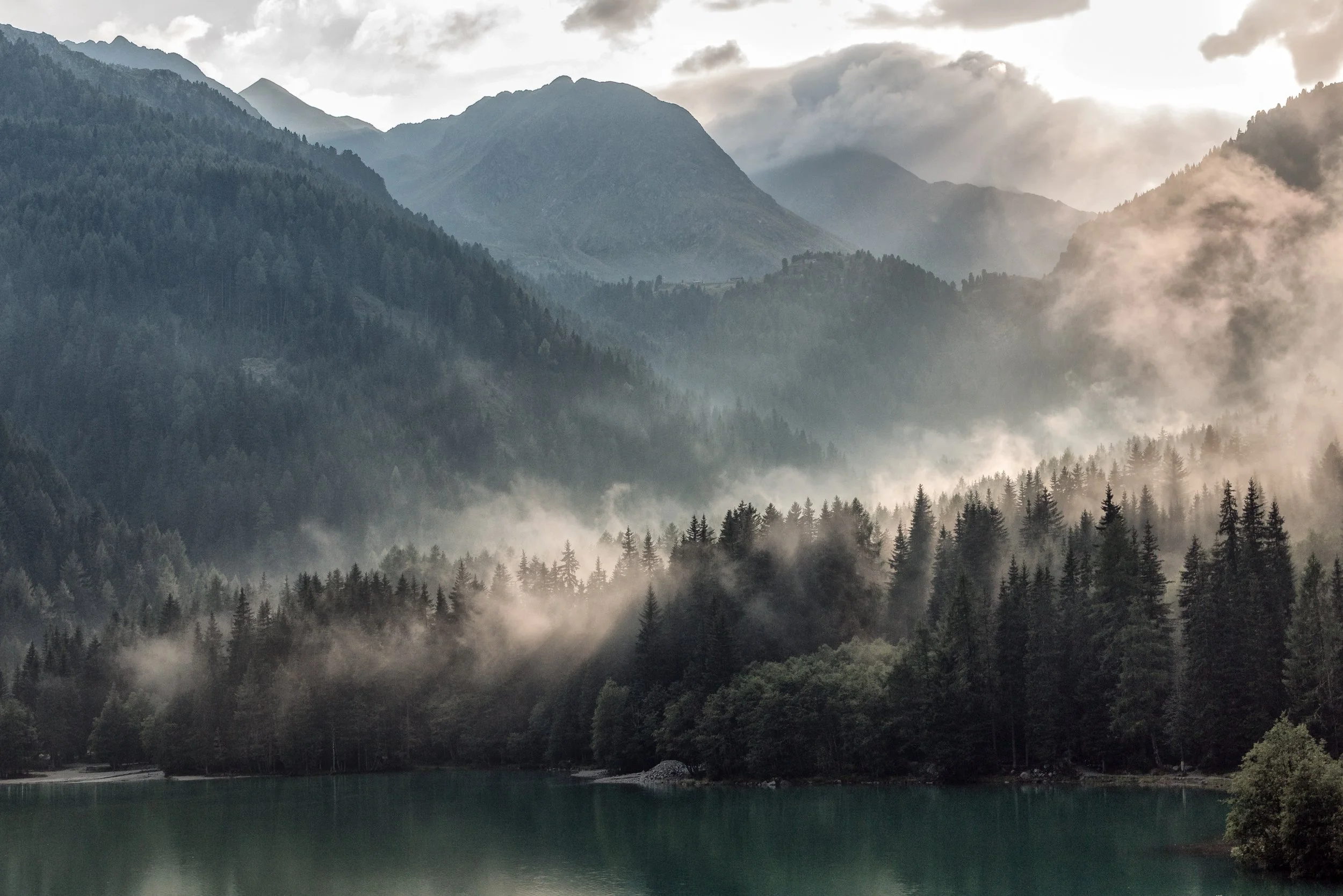 A misty mountain landscape with dense forest, fog, and a calm body of water in the foreground.