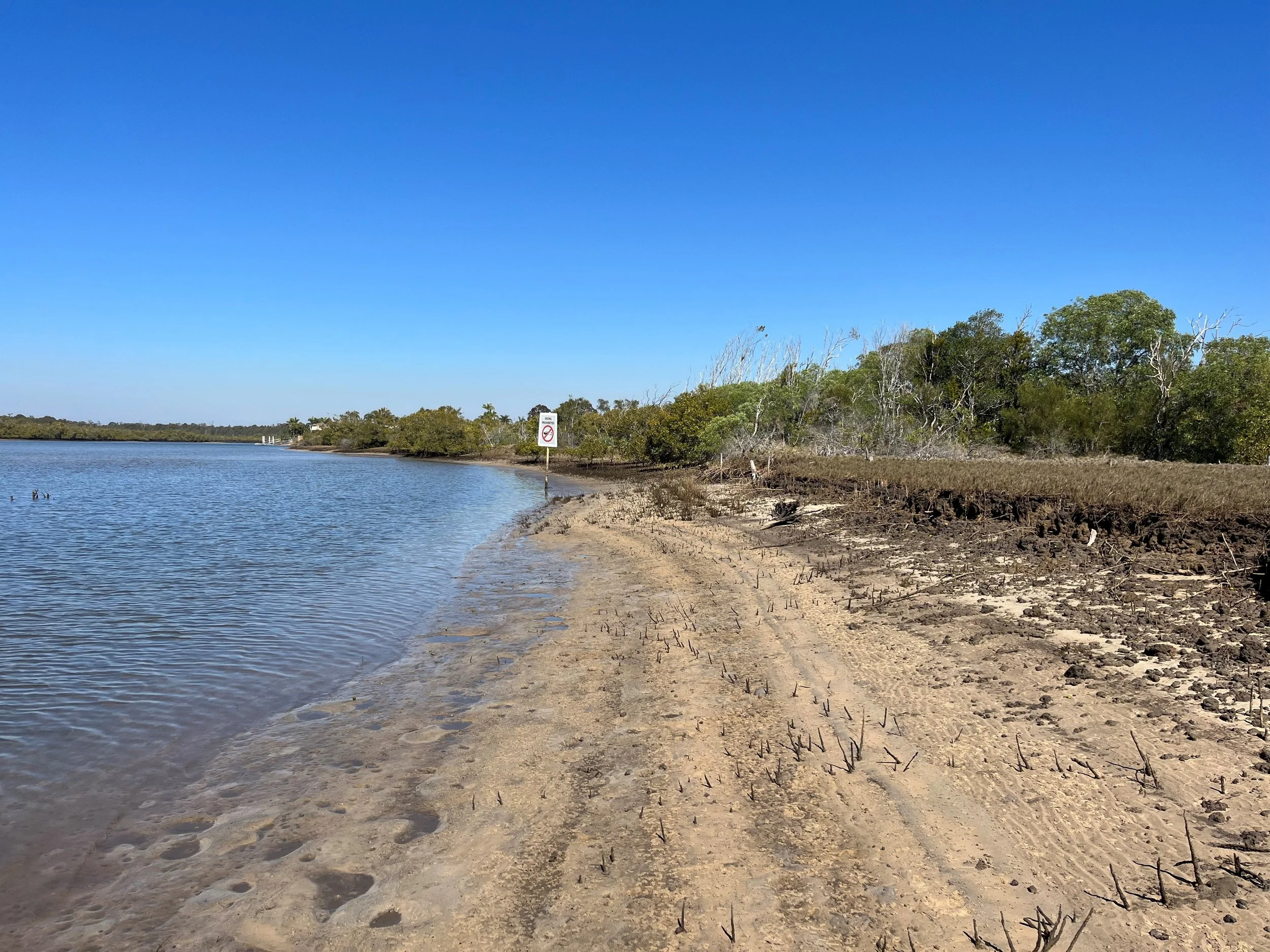 After 2 years there is around 150mm of sediment build up and the bamboo is starting to biodegrade.
Zero devices have washed away or been removed and around 30-40 mangroves have established with some 80cm tall.