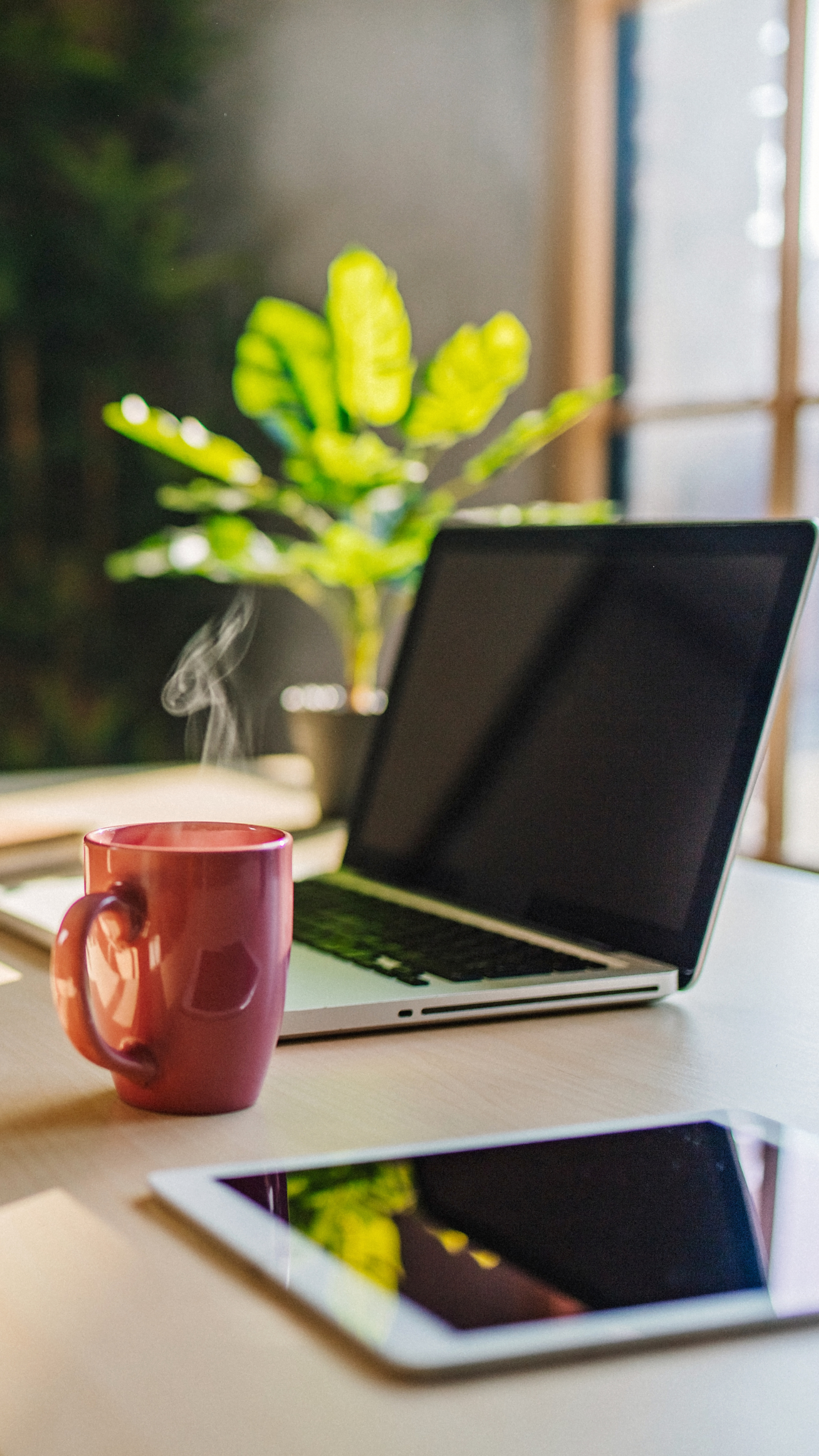 laptop on a desk next to a steaming mug and a green plant
