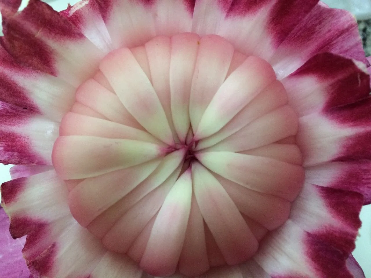 Personalized Amazonian Flower Essence Consultations by Lynn Schauwecker