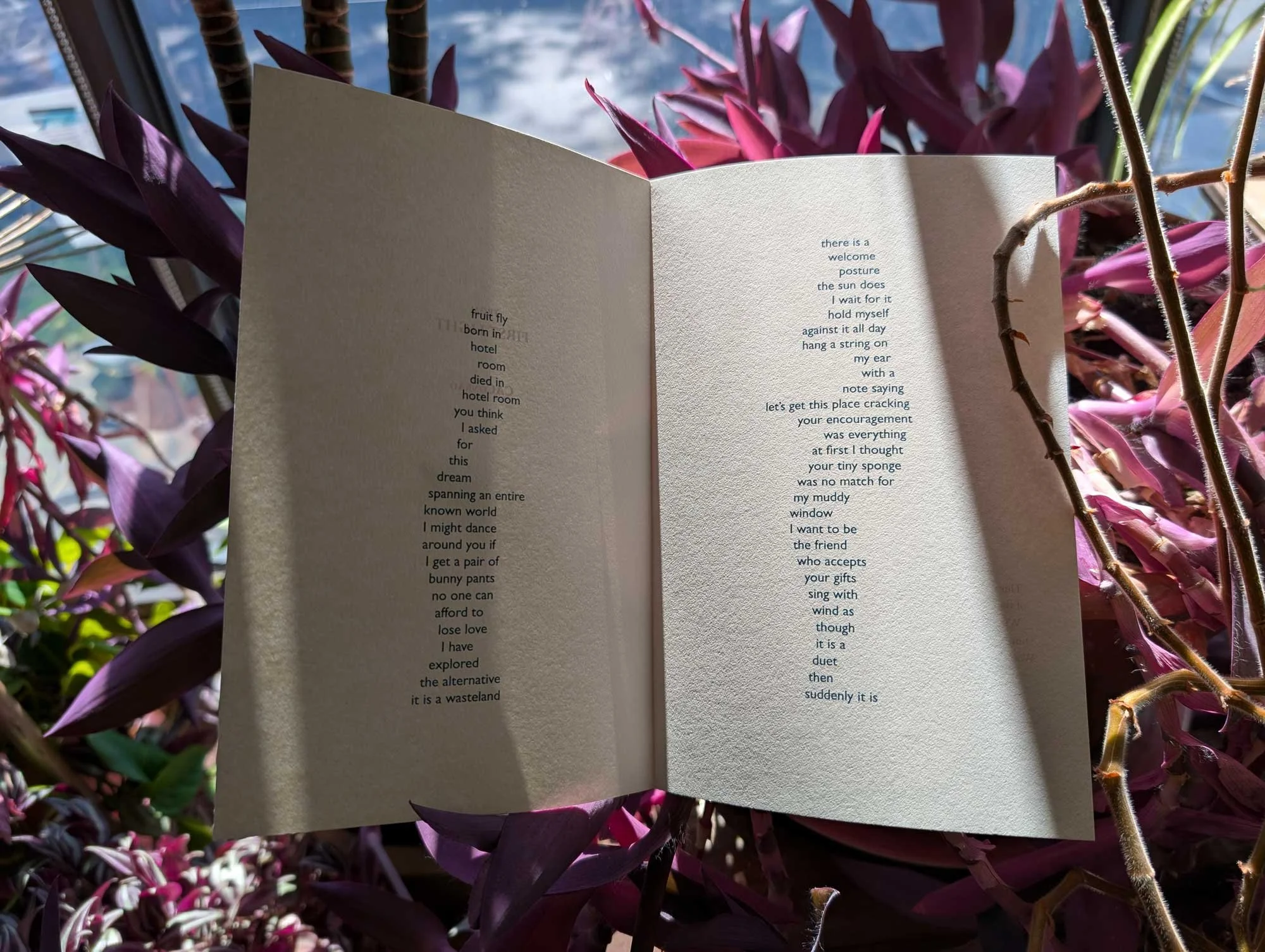 CAConrad_Sept_20_2025_poem_21.jpg