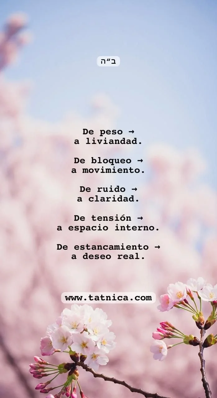 WhatsApp Image 2025-11-19 at 10.22.52.jpeg