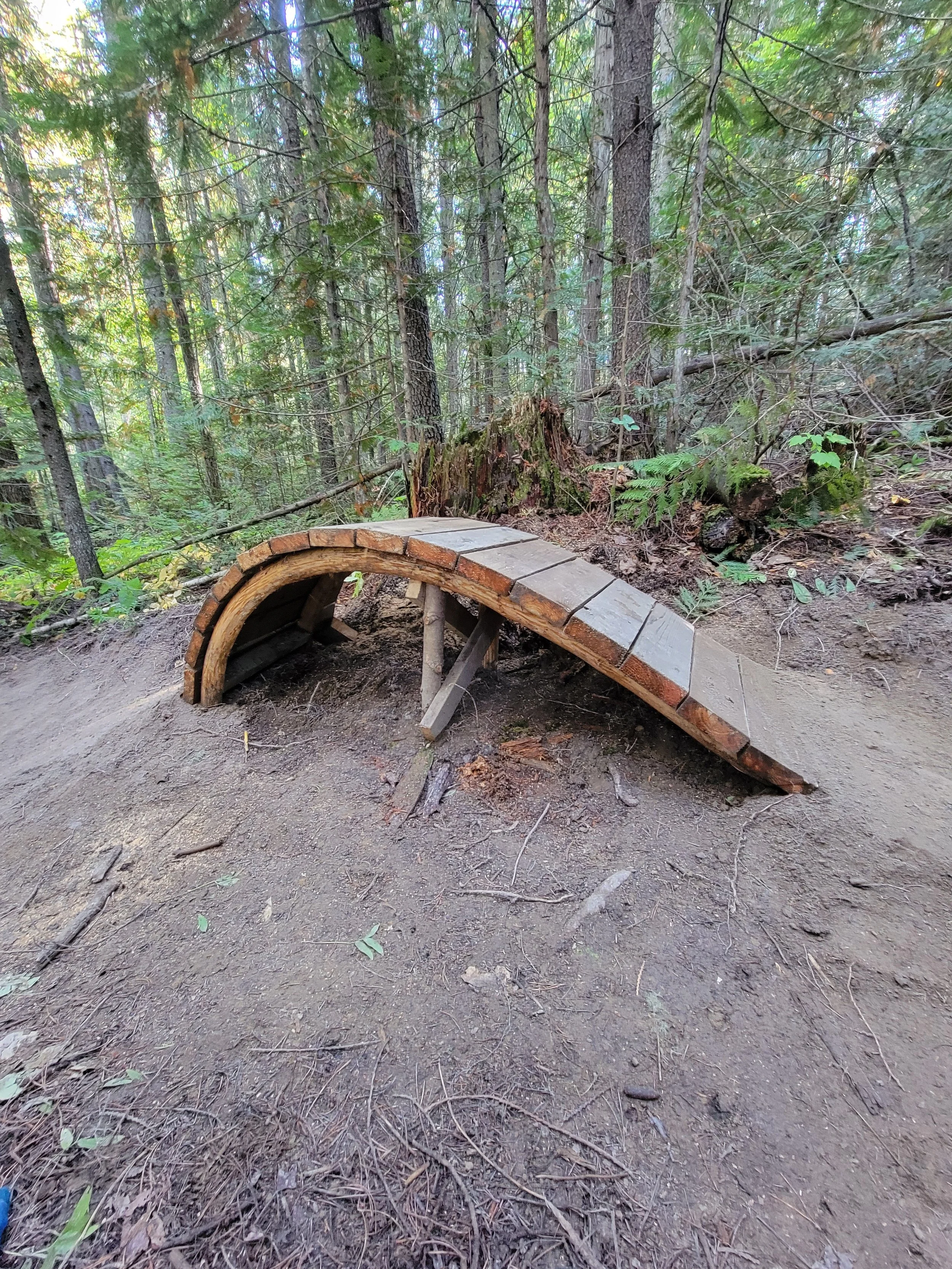 A small wooden bridge in a forest, made of curved and flat wooden planks, supported by simple wooden supports on dirt ground surrounded by trees.