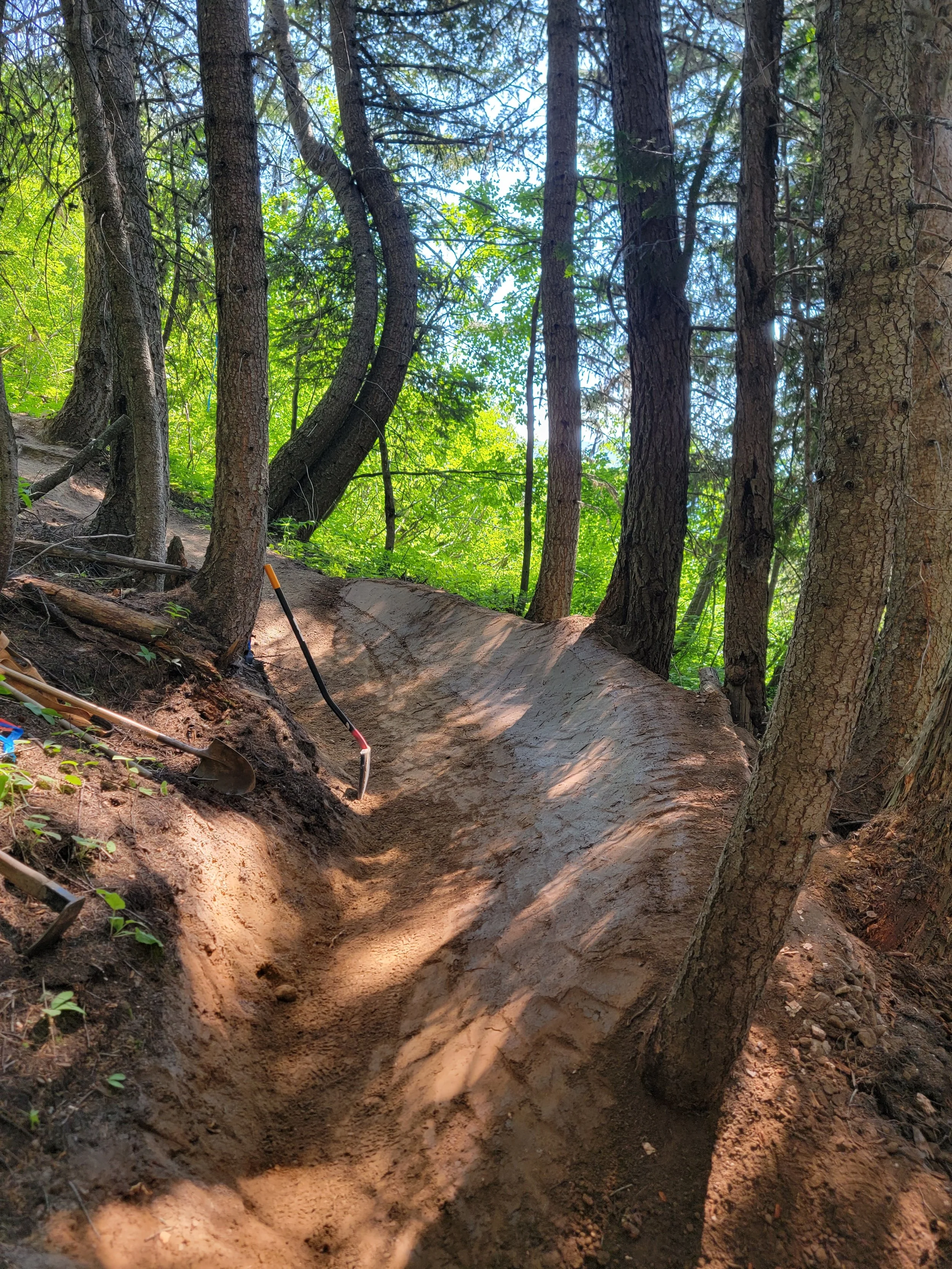 A dug-out trail or trail feature in a wooded forest area with trees, green foliage, and a dirt path, picked up by a gardening or landscaping tool.