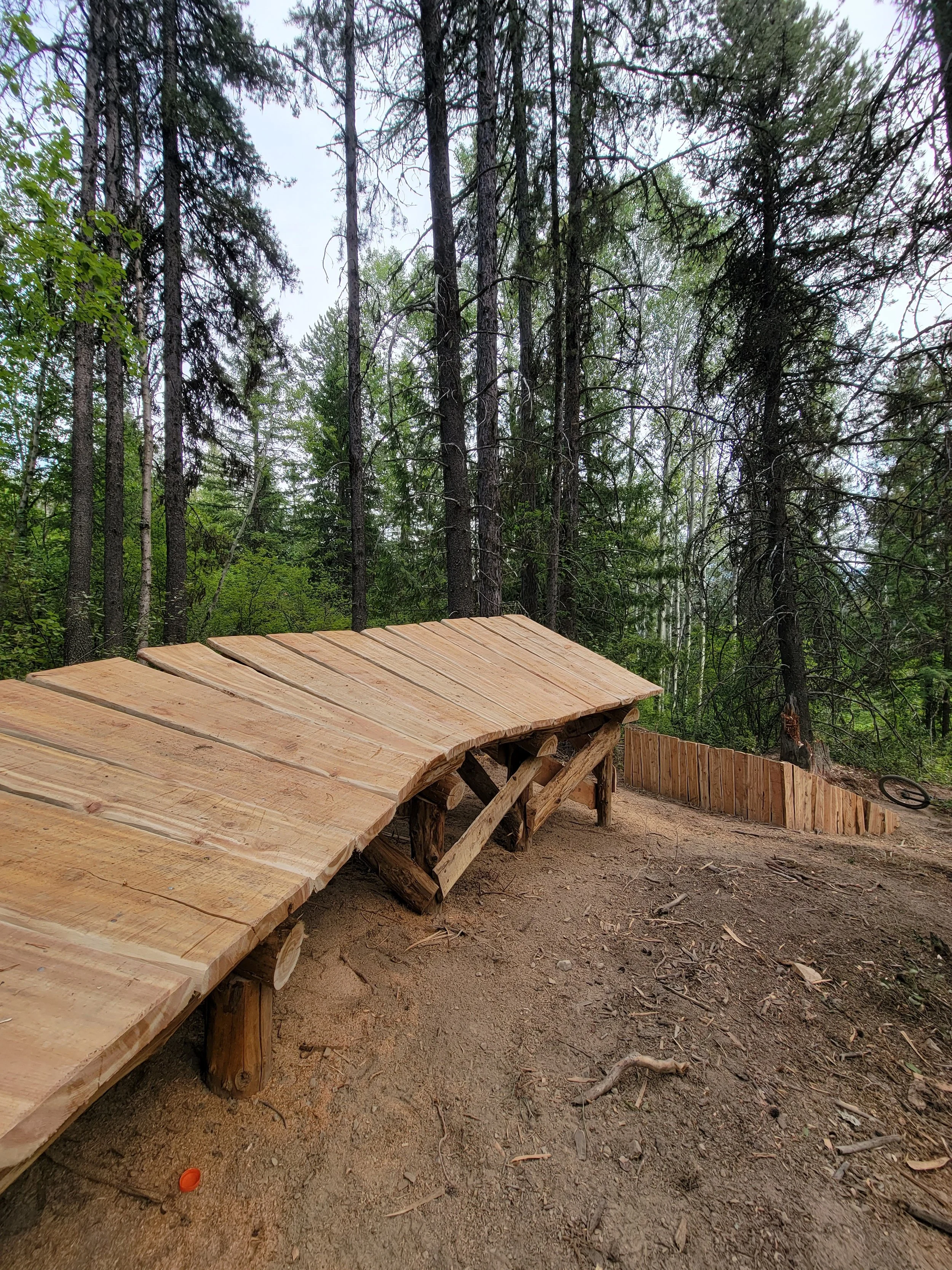 A freshly built wooden ramp in a wooded area, with a dirt ground and trees surrounding it.