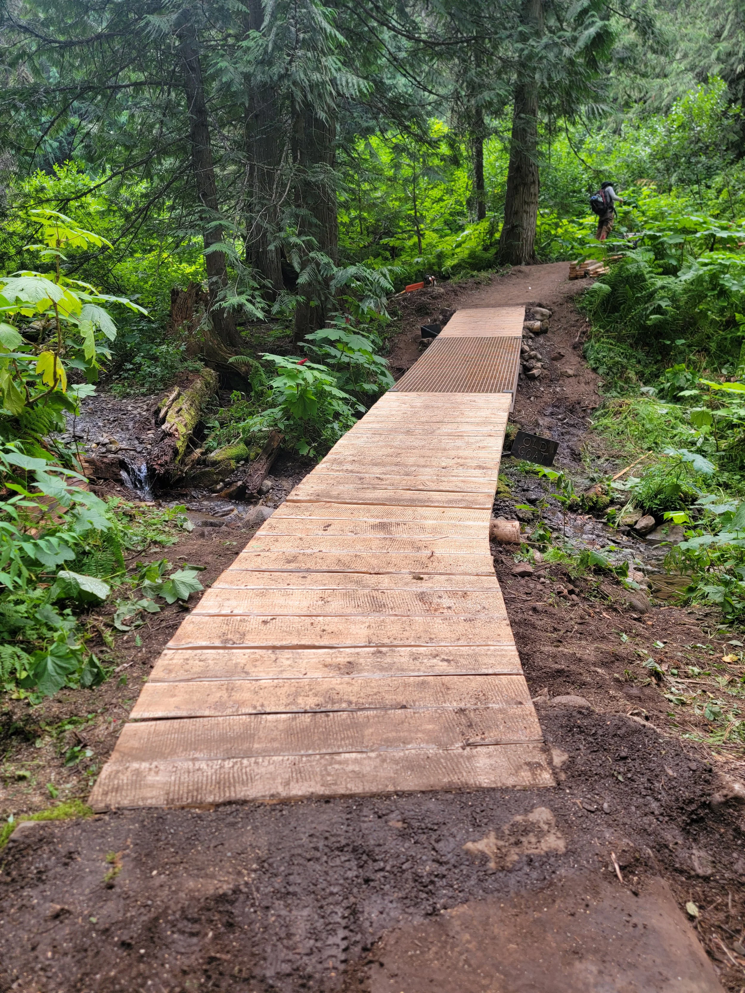 Wooden bridge crossing a small stream in a lush green forest, with a hiker in the background.