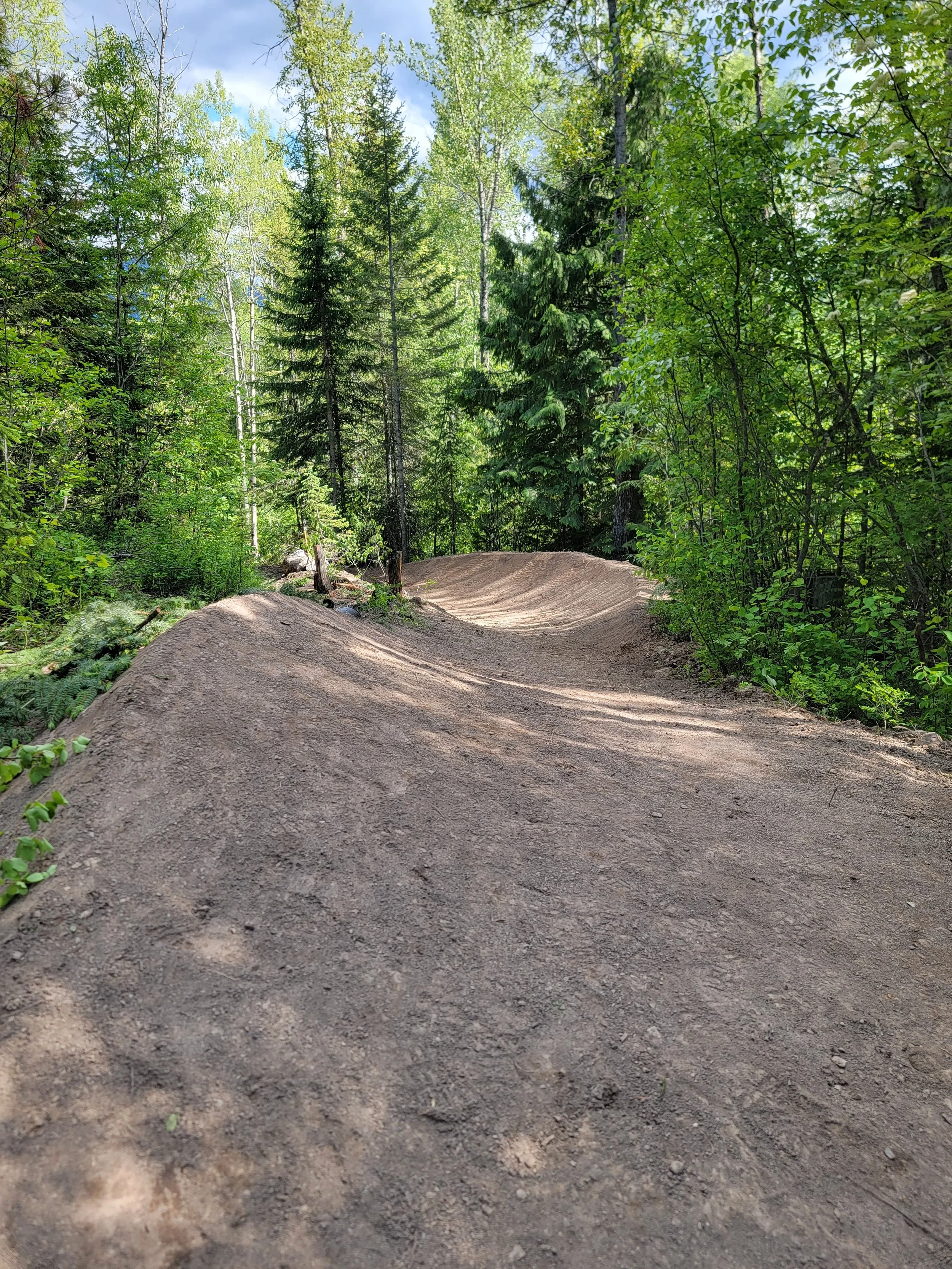 A dirt trail winding through a lush green forest with tall trees and bright sunlight.