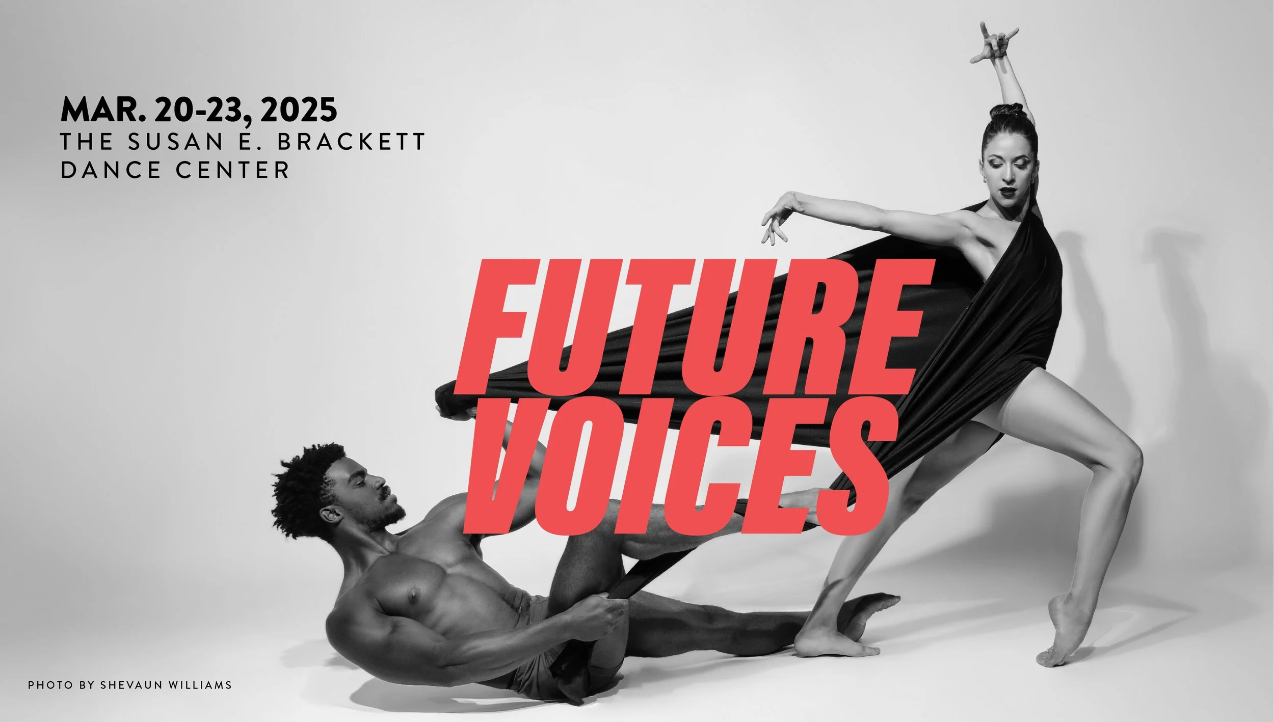 Photo by Shevaun Williams