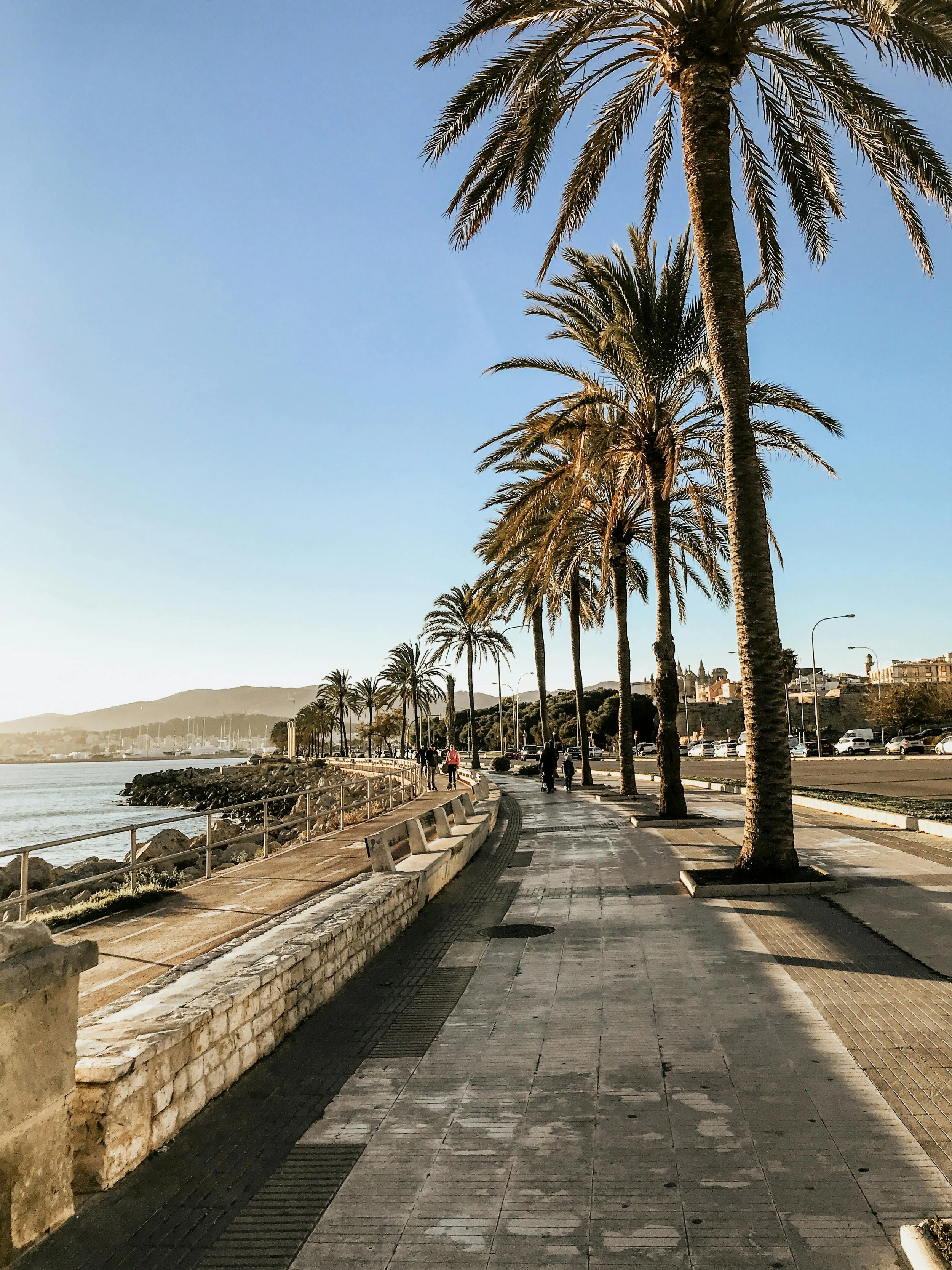 Palm-lined coastal promenade in Mallorca, representing the relaxed Mediterranean lifestyle available through the Spain Non-Lucrative Visa