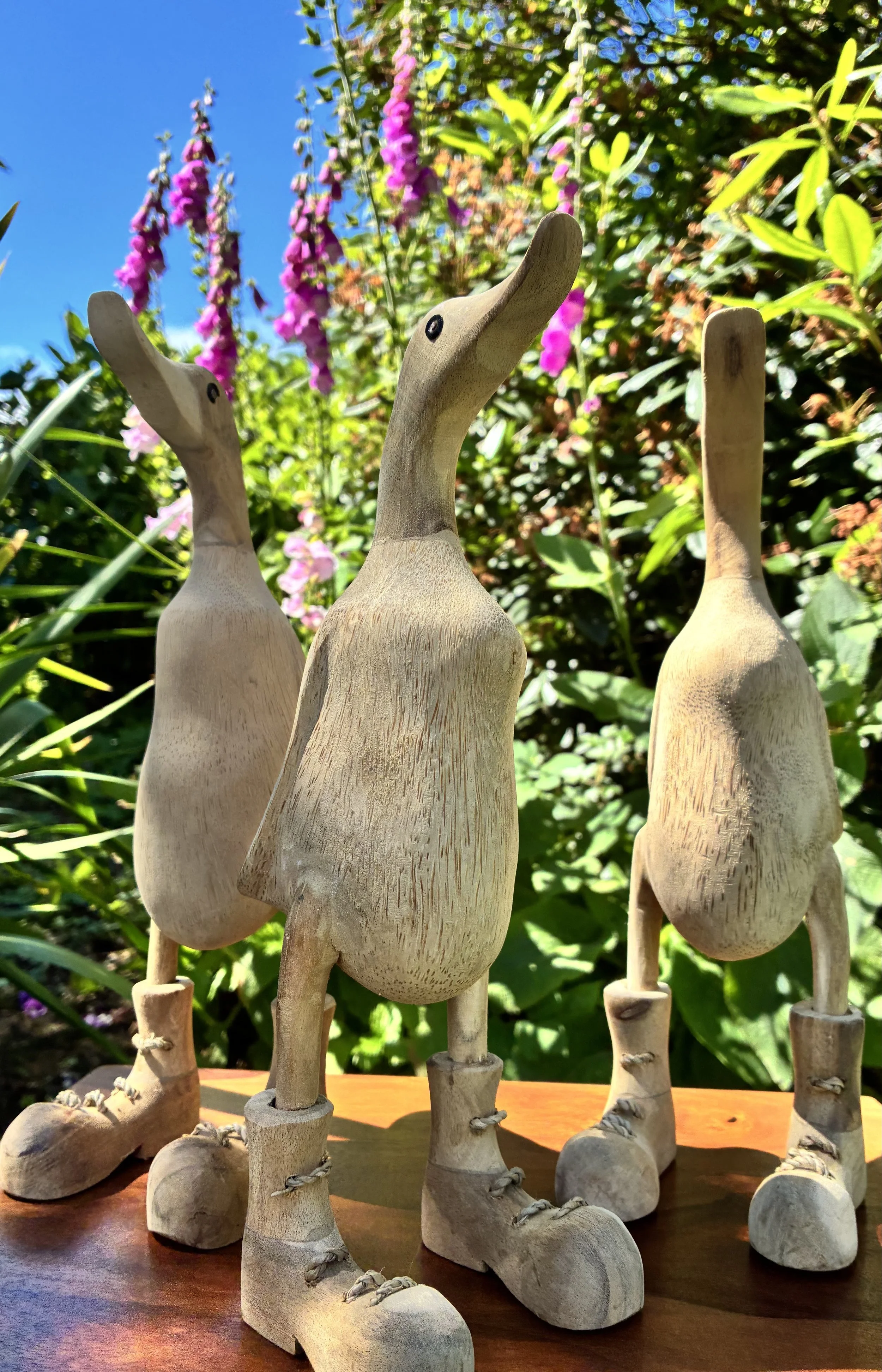 3 ducks.jpeg