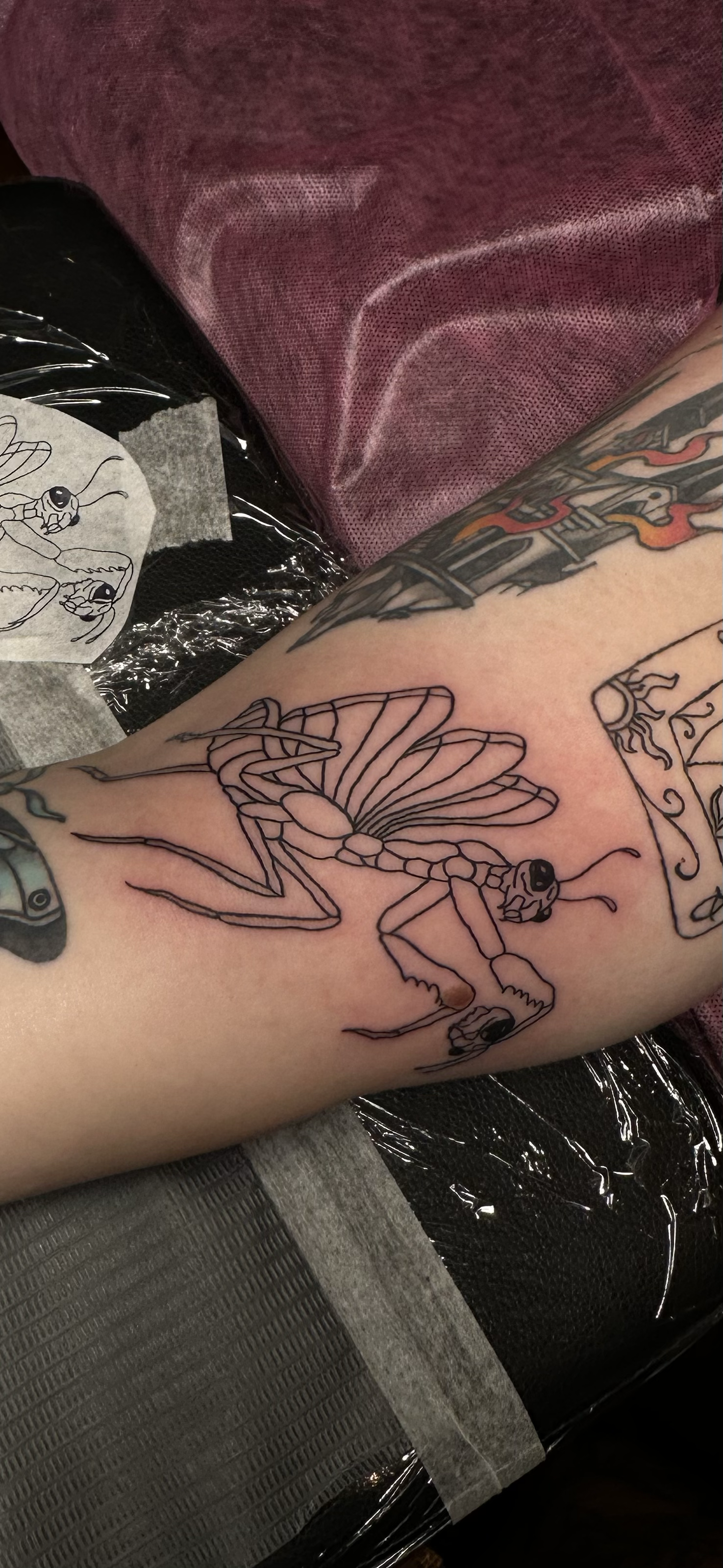 A person's arm with a black outline tattoo of a praying mantis. The background shows other tattoos, and the arm rests on a surface covered with tattoo paper and plastic wrap.