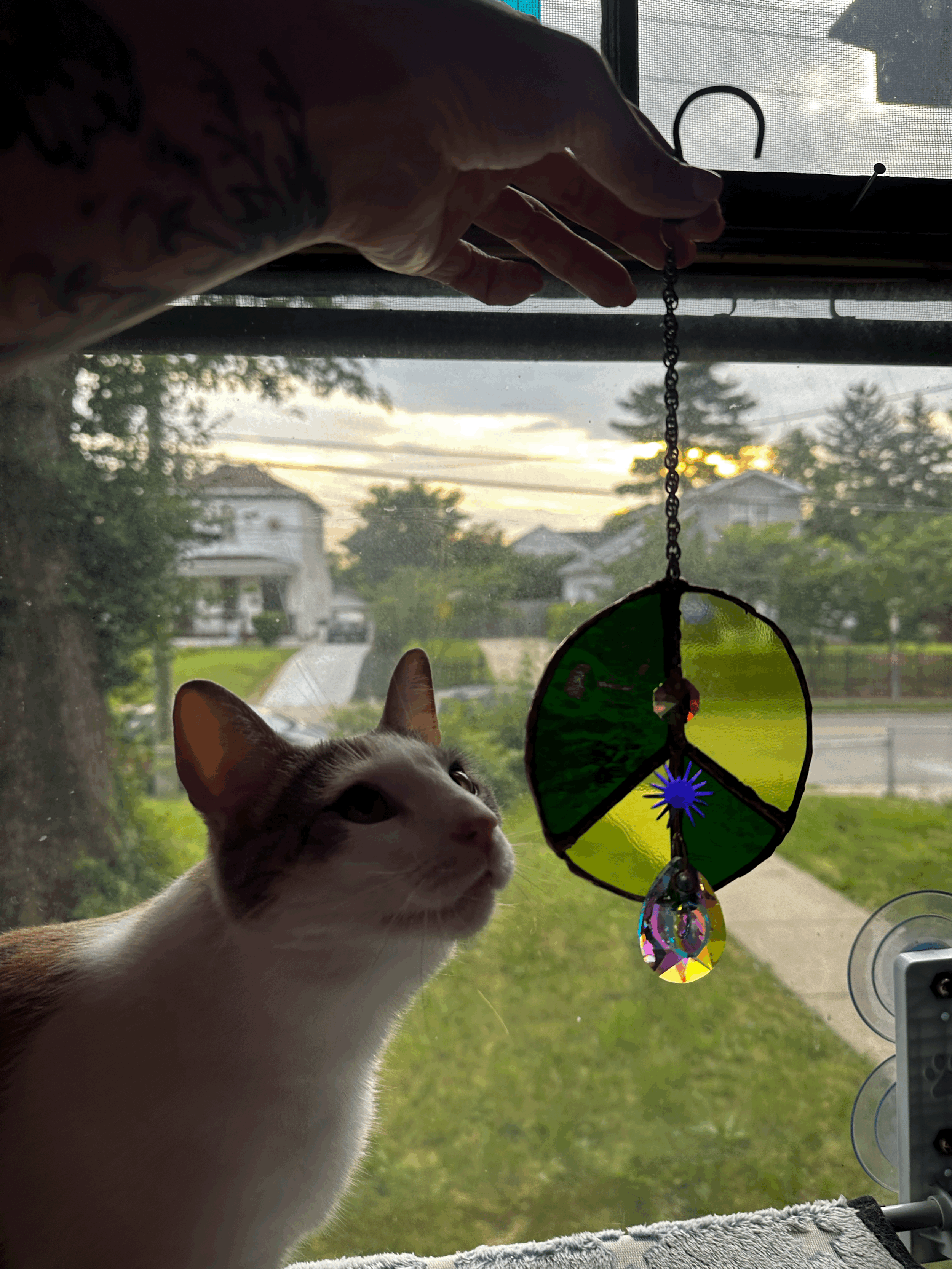 tempImageKaEJGG.gif